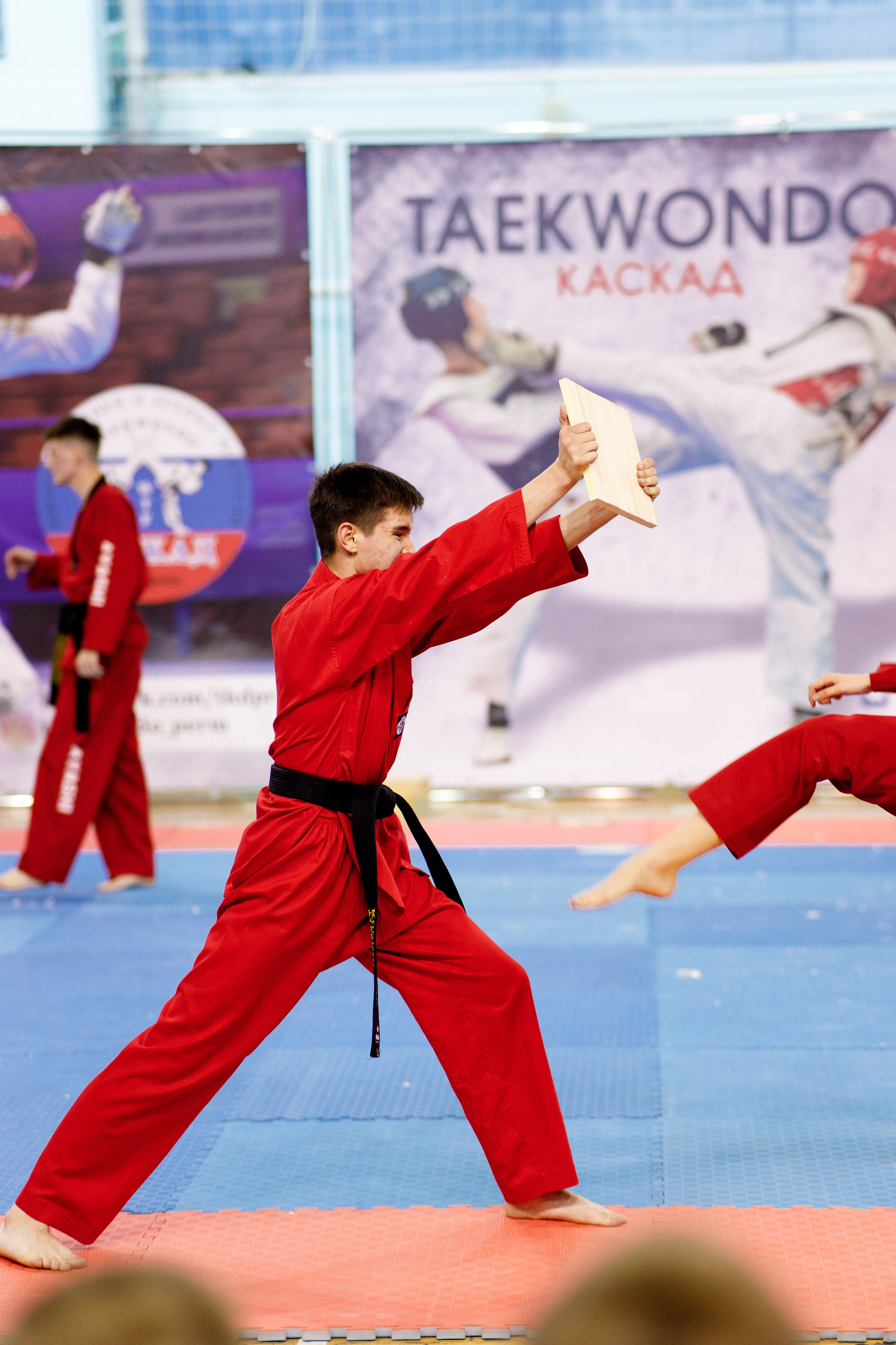 Тхэквондо СК «Каскад». Фотограф Дмитрий Молчанов | Фотограф Пермь | Фотограф