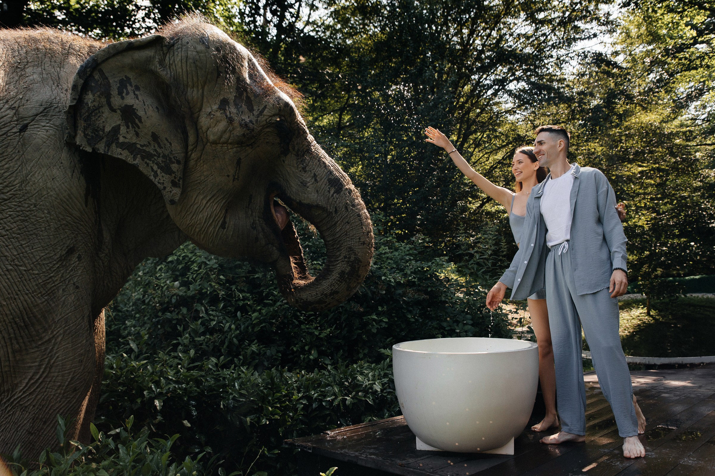 Он, она и слоны. Свадебный фотограф в Ростове-на-Дону