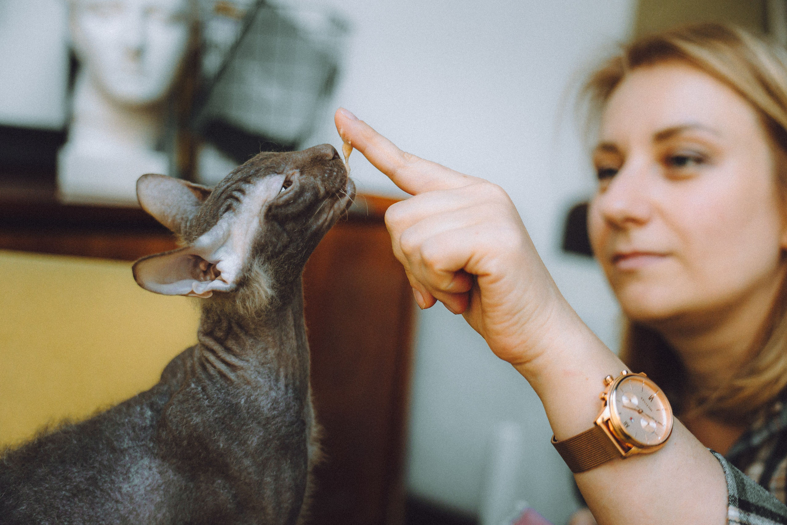 Кокос, Света, Динара и Вилли