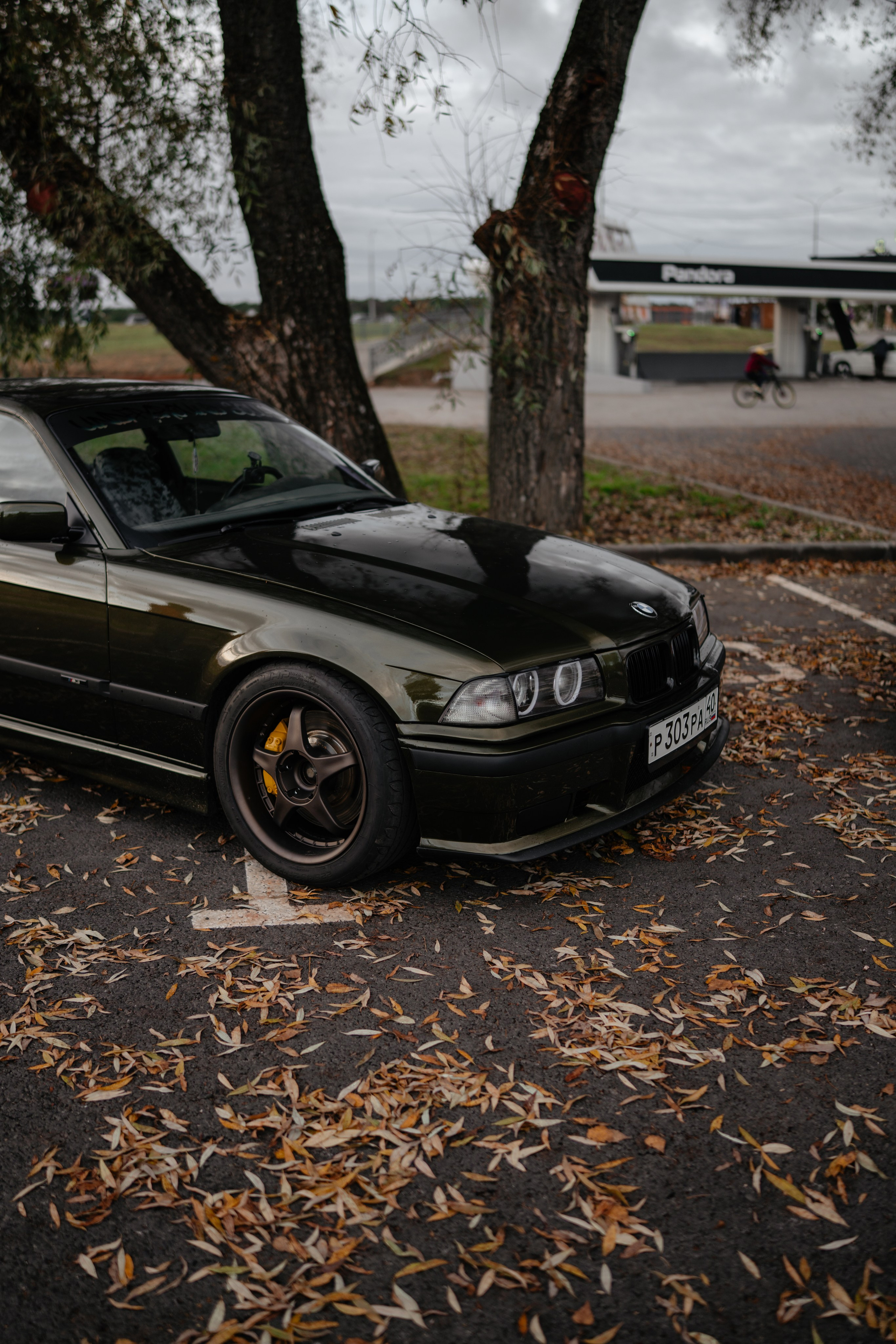 Toyota & BMW. Vlad Trykov