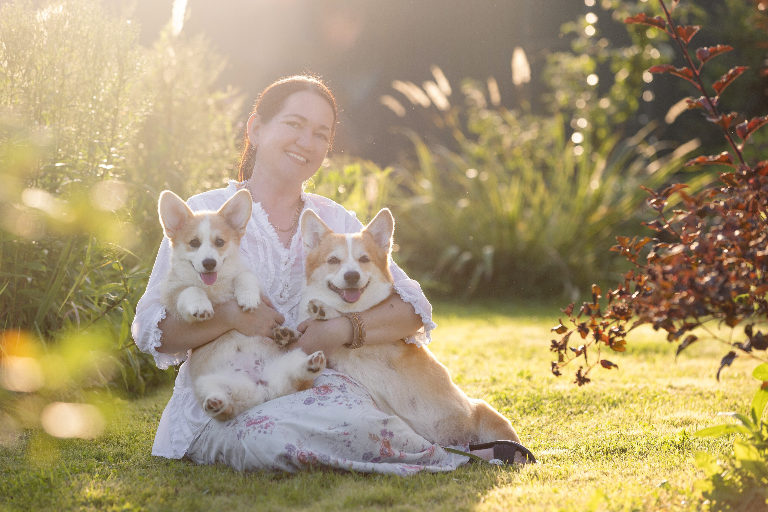 Собаки и не только. Фотограф Алена Звездина