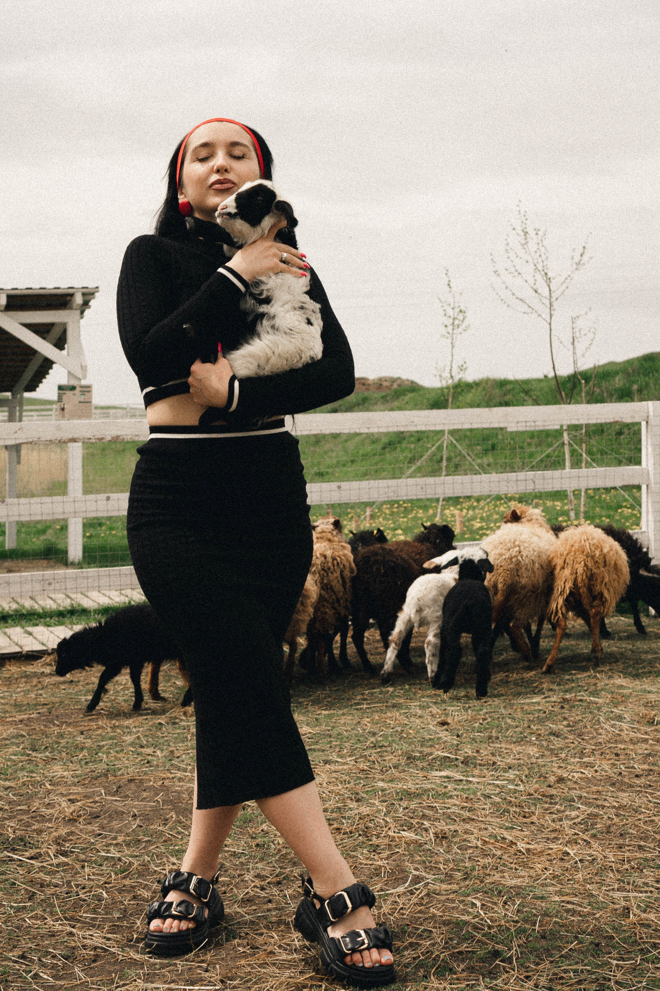 Ферма Альпак. Профессиональный фотограф, Санкт-Петербург — Виктория Богомолова