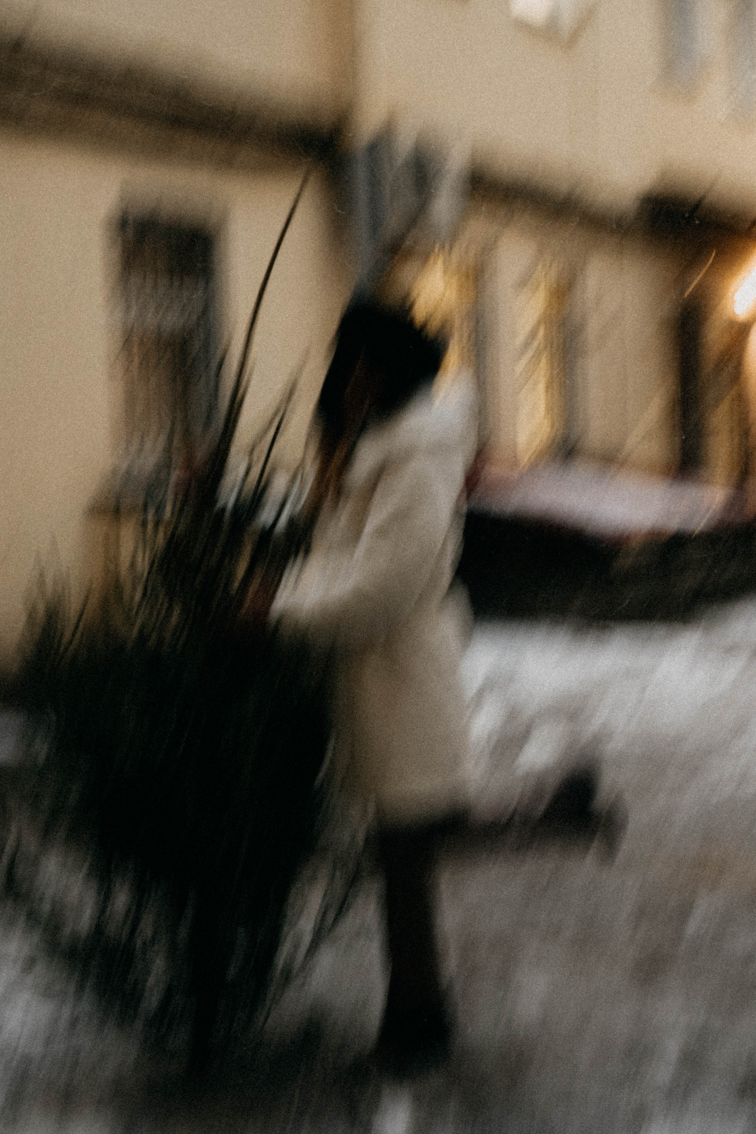 Новогодняя. Профессиональный фотограф, Санкт-Петербург — Виктория Богомолова