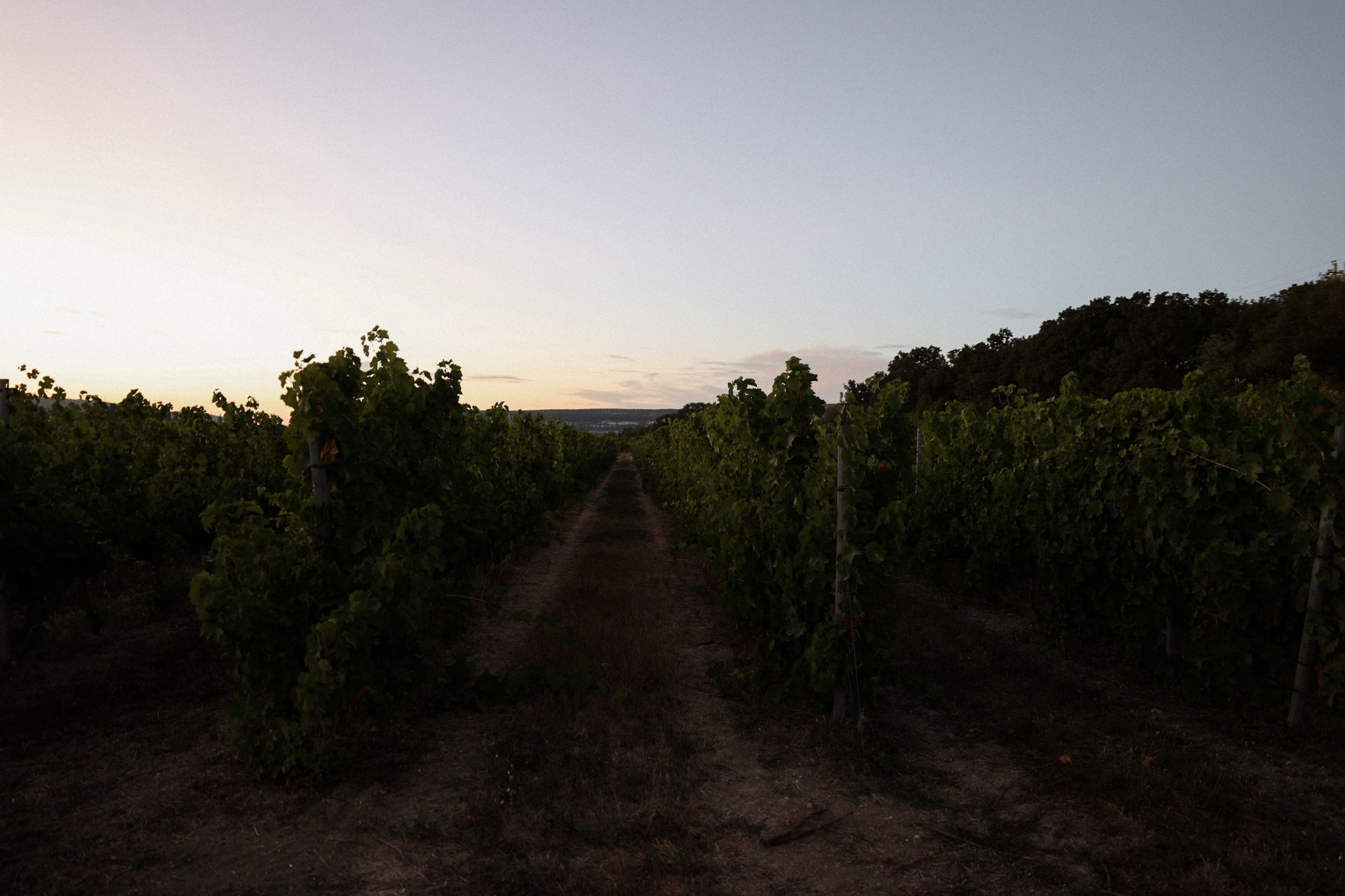 Александр и Екатерина. Фотограф в Севастополе и Крыму Артем Волобуев
