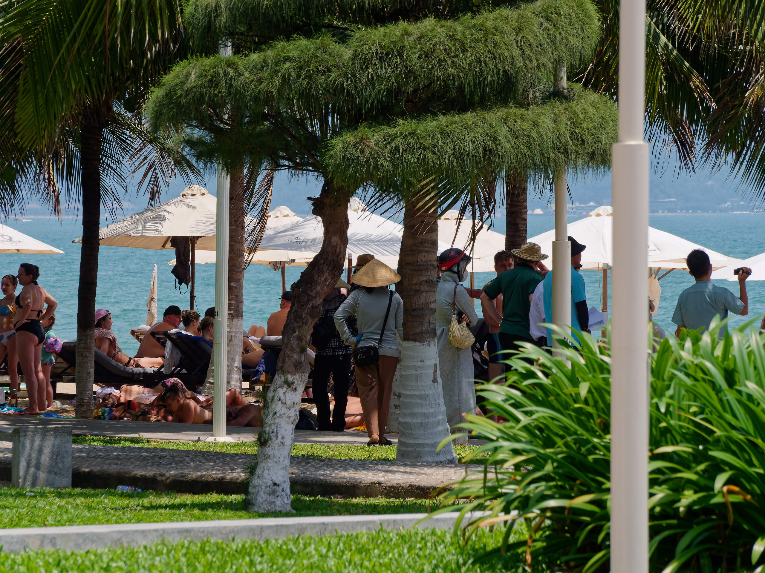 Нячанг 2025 (6). Избранные фотографии