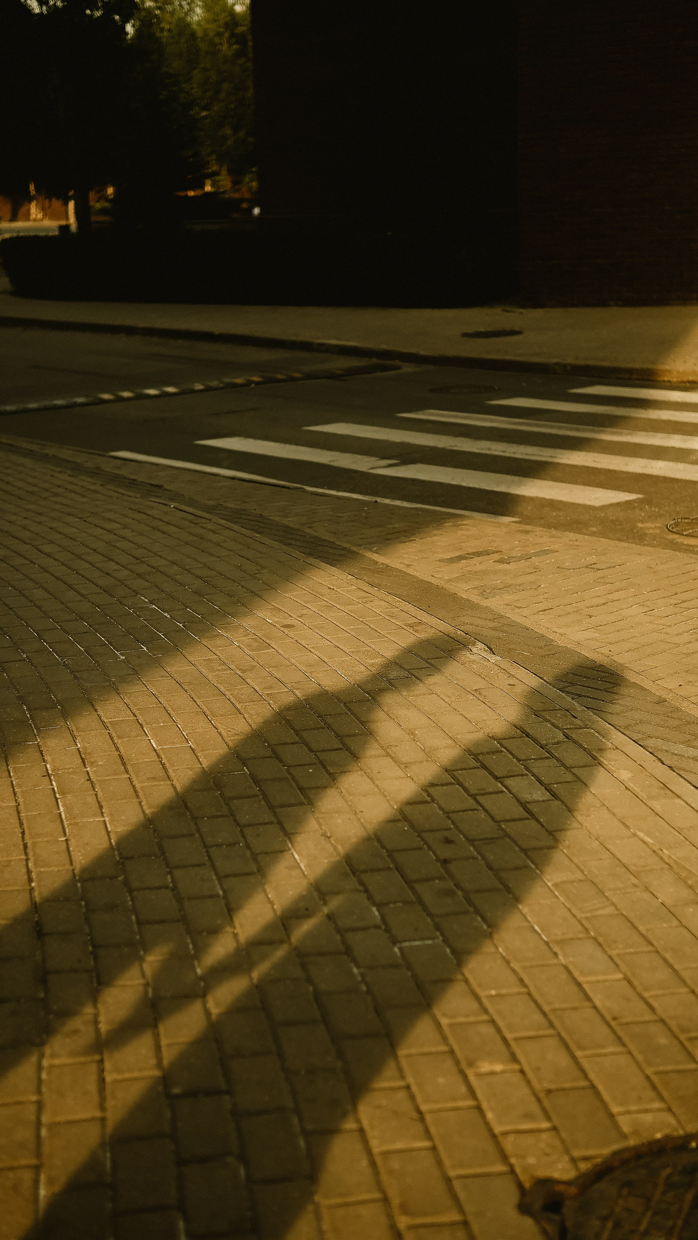 Ира и Максим. Phdkvmr.ru