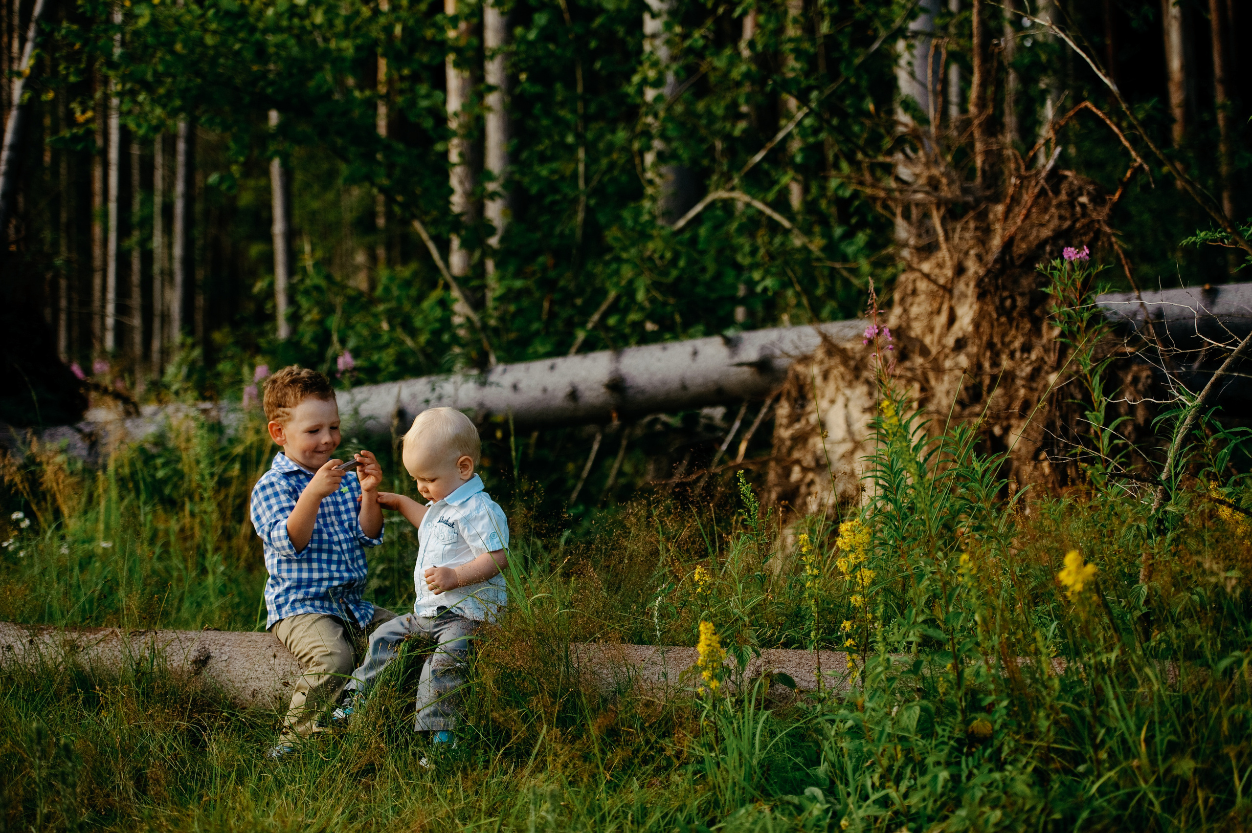 Детство. Семейный фотограф Анна Дубовская