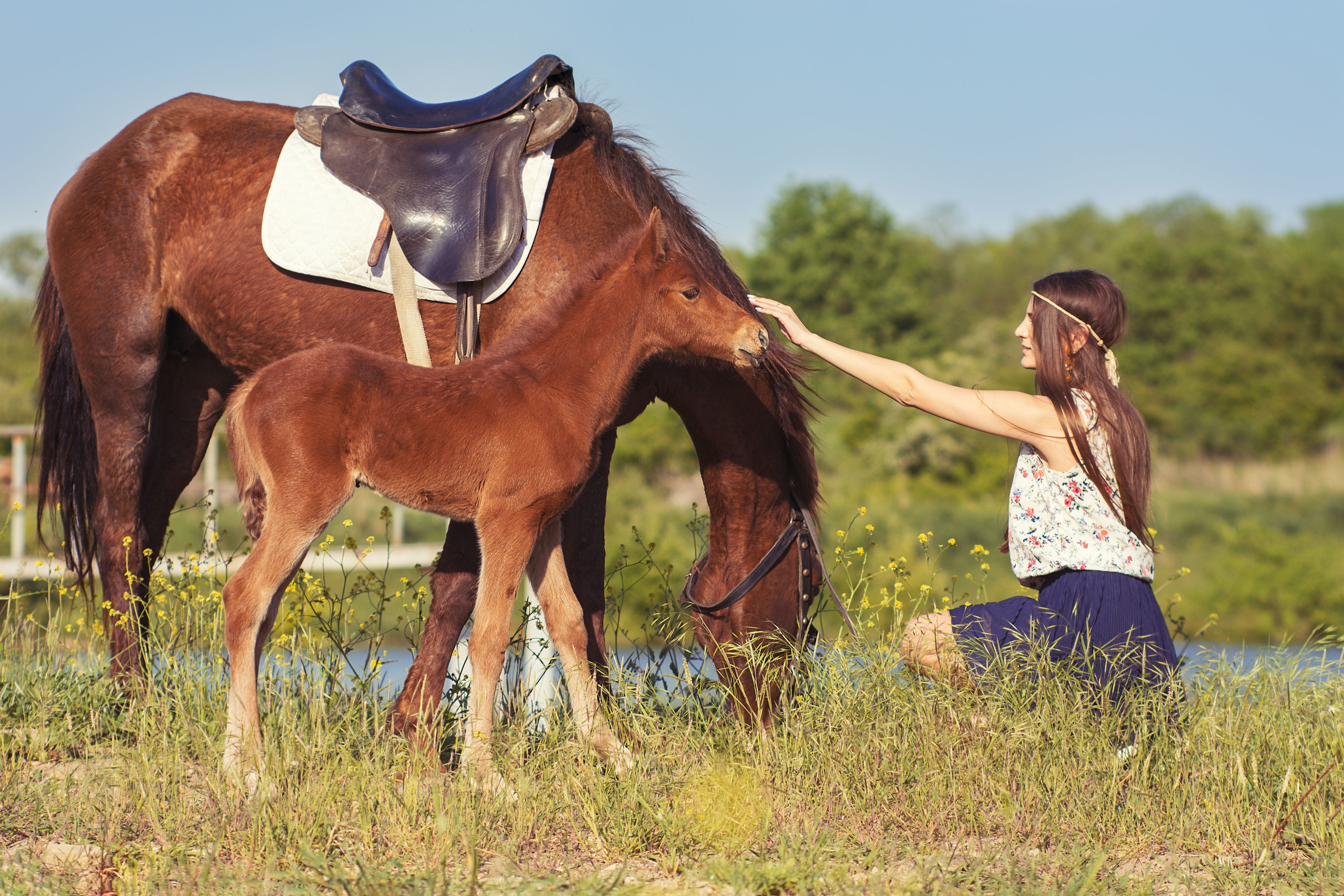 Фотосессии с лошадьми. Фотограф в Анапе Елена Нор
