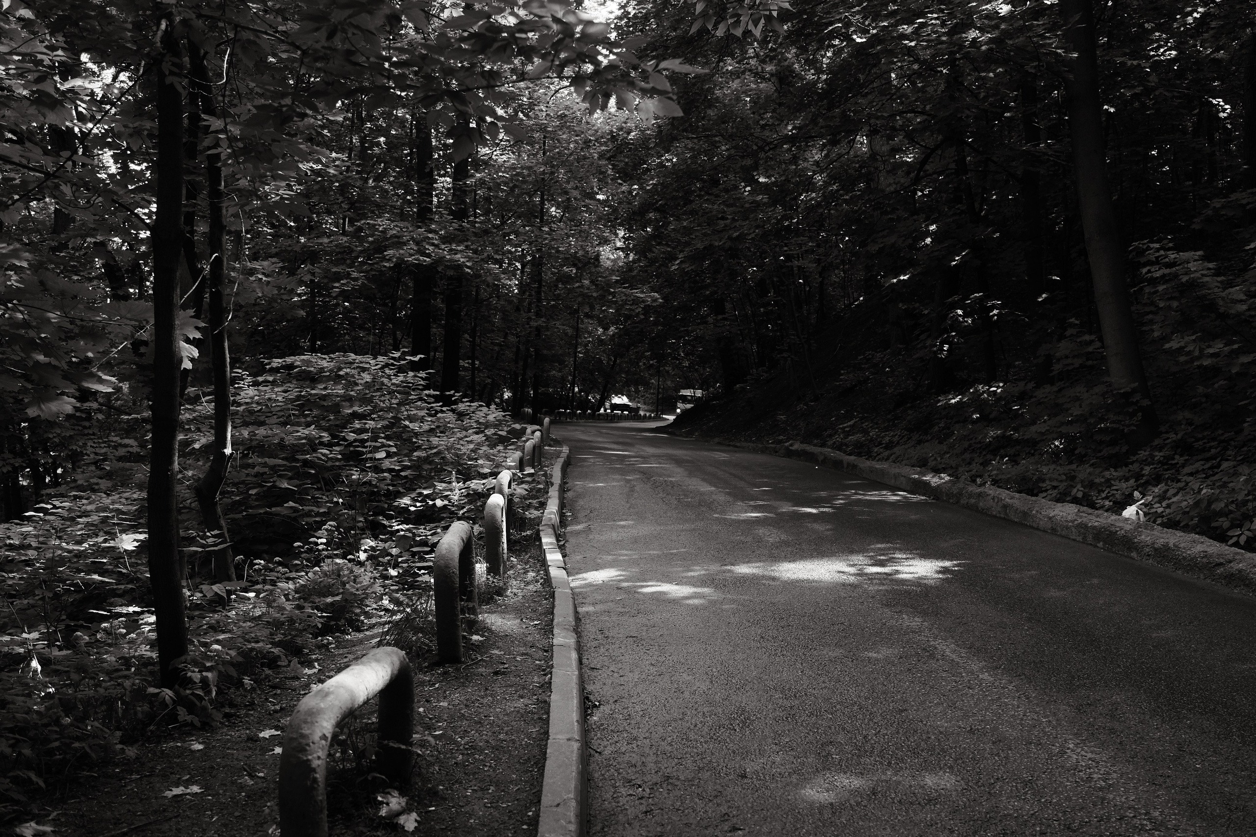 Прогулка по Воробьёвым горам. Фотограф Михаил Ерохин | Москва