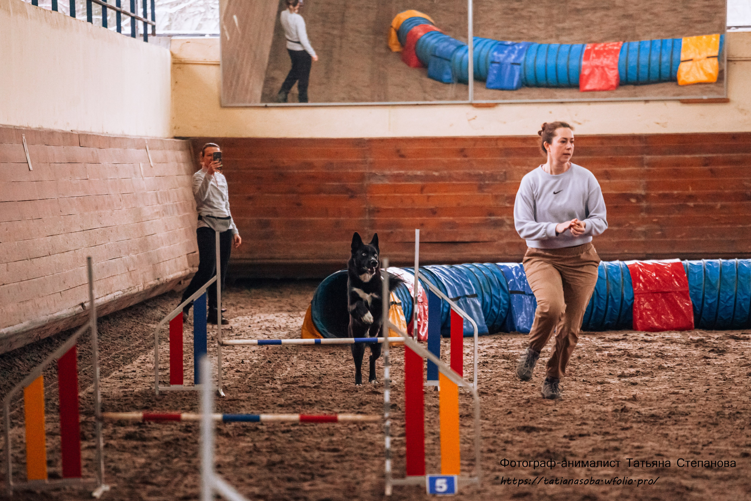 Соревнования по Аджилити 25.02.2024. Фотограф-анималист Татьяна Степанова