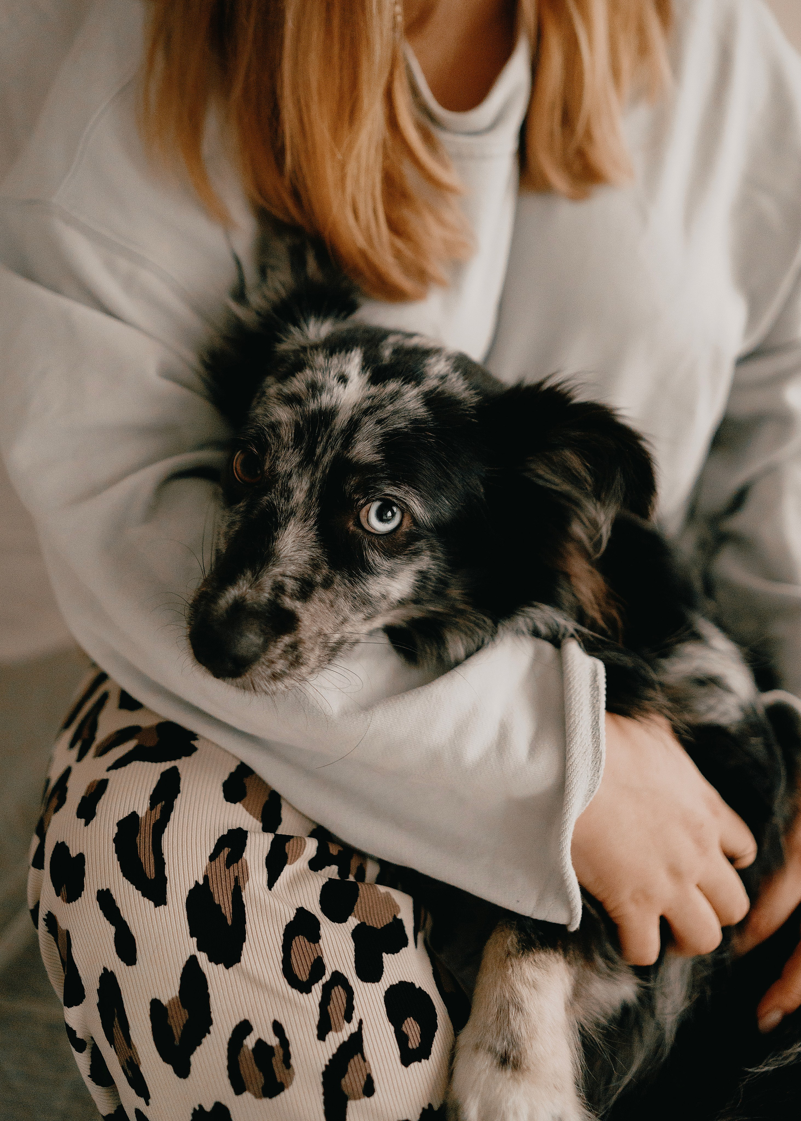 Бублик. Фотограф- анималист Александра Матвеева