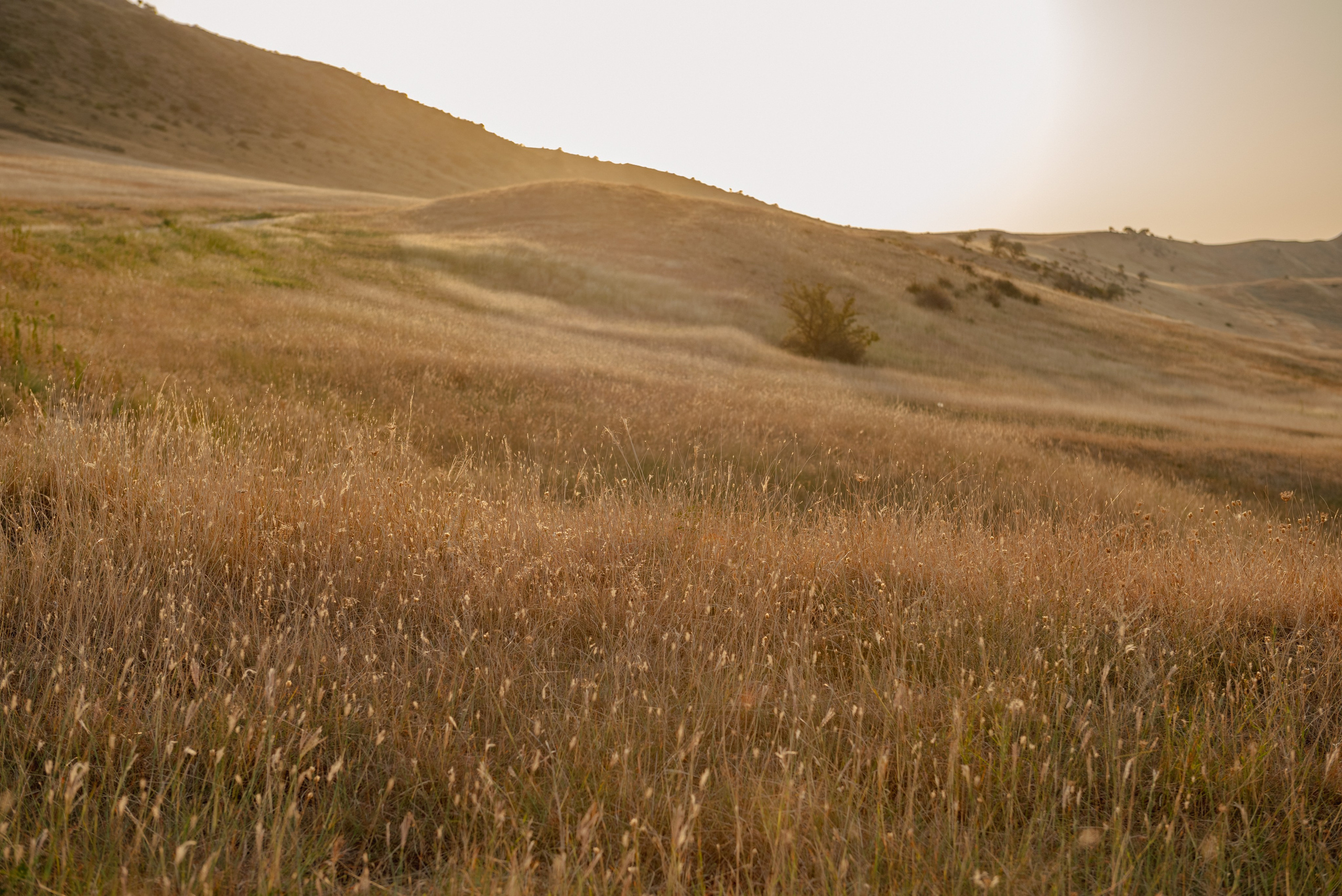 Vip personal photo tour Tbilisi. Lika Gomiashvili photography Georgia Tbilisi