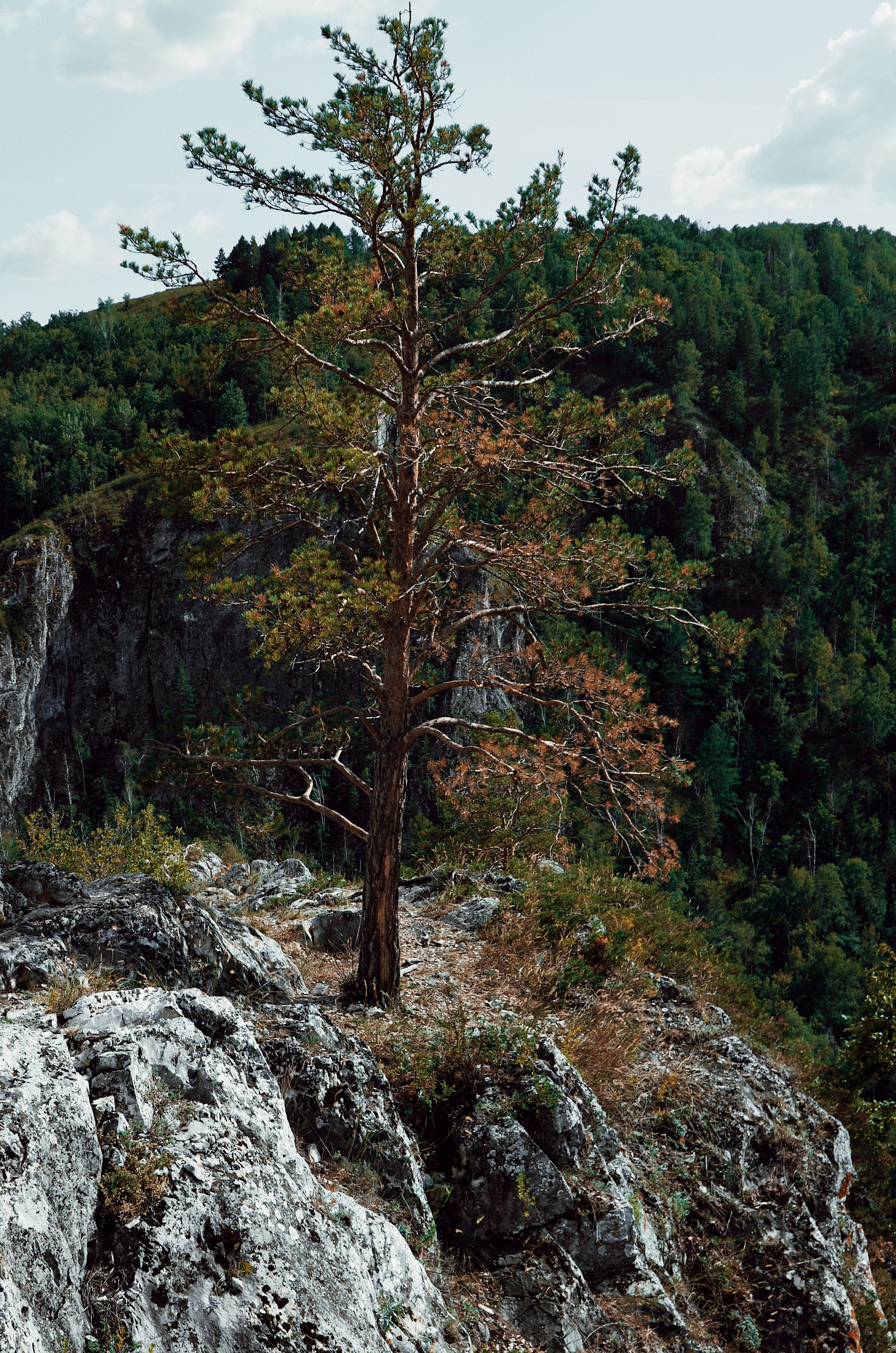 Денис и Карина. Фотограф Оренбург I Кристина Подольская