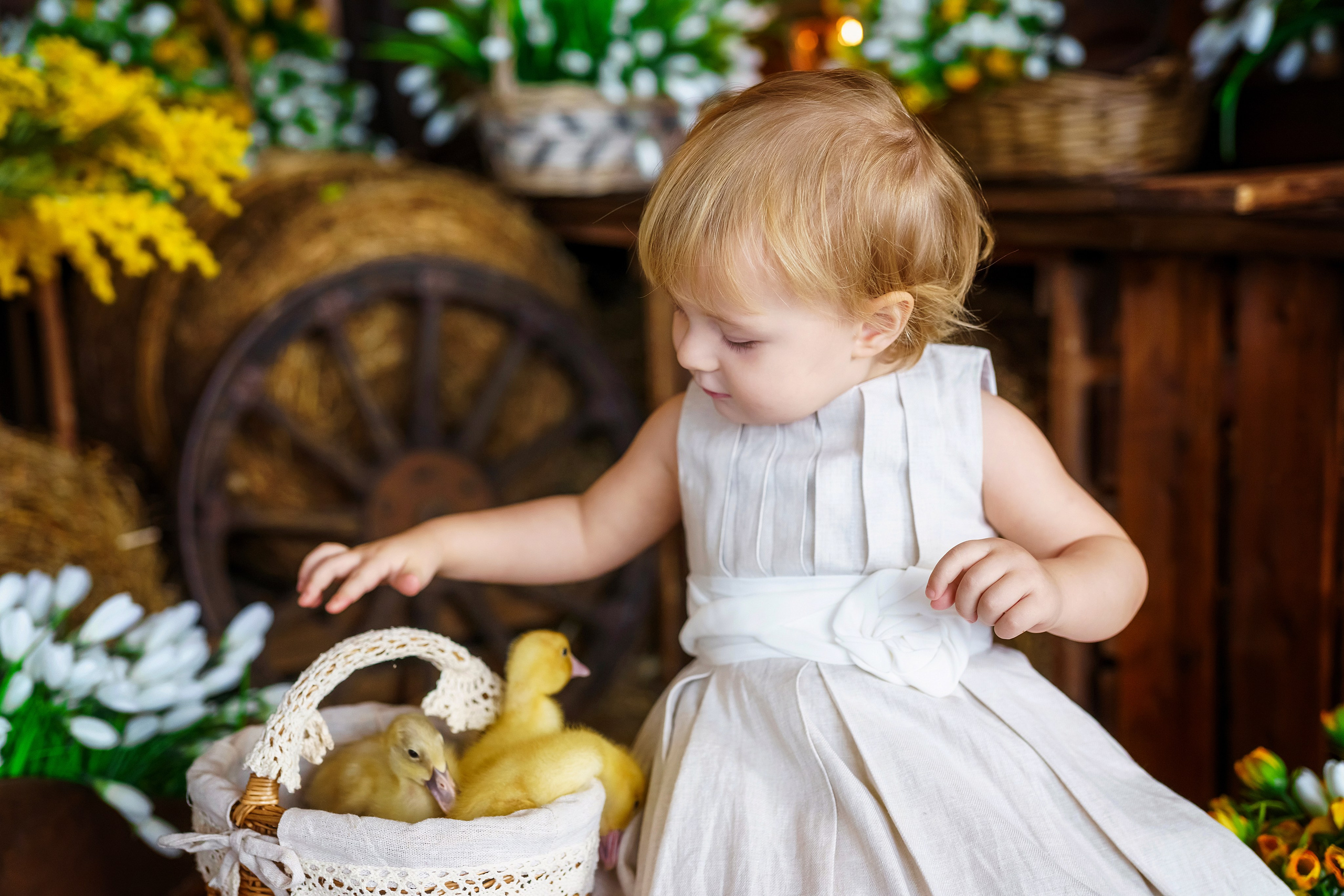 . Фотограф в Москве и Одинцово