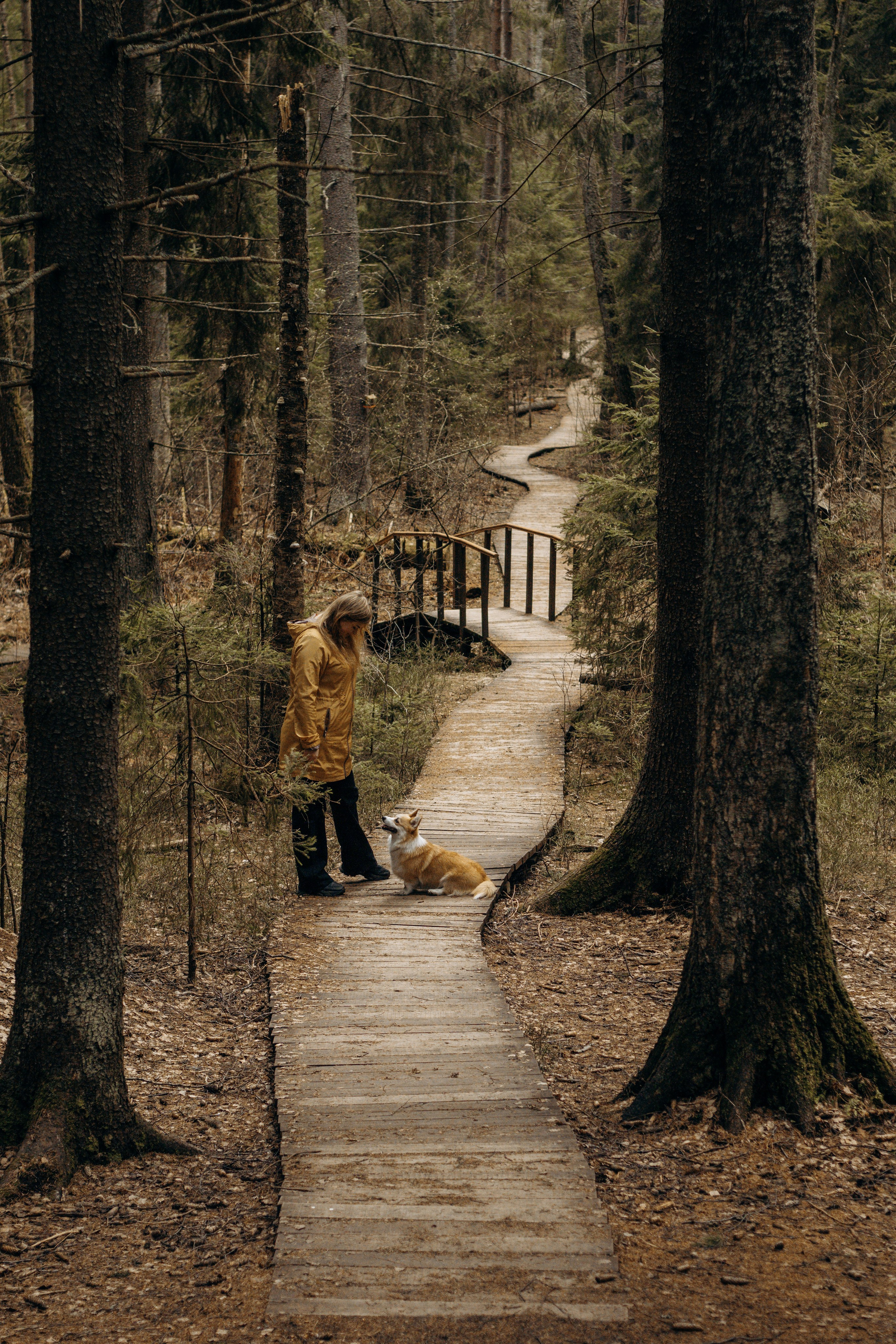 Лиза и Шустрик. Фотограф-анималист в Санкт-Петербурге