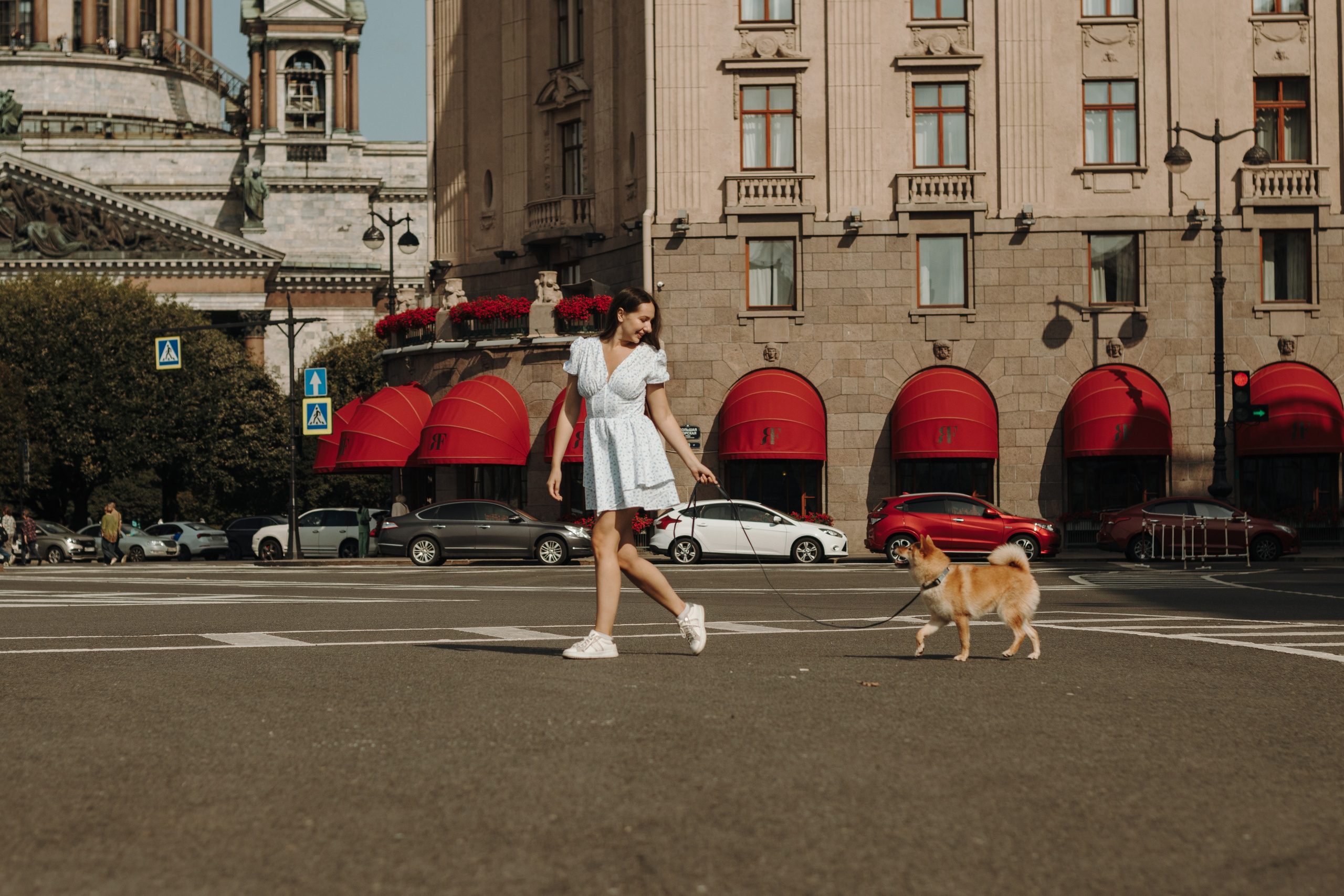 Фотограф-анималист в Санкт-Петербурге
