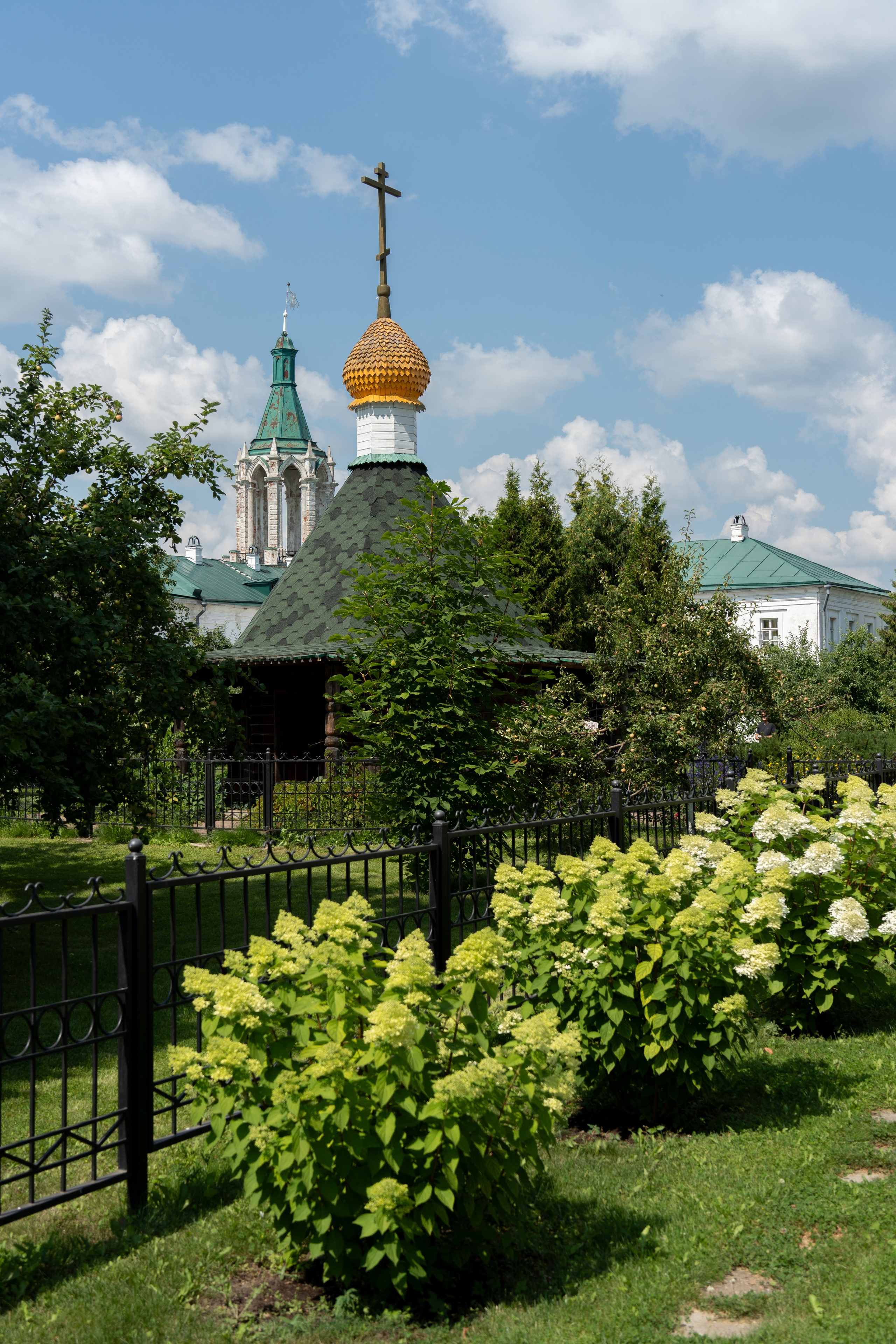 20250729-30 Ростов. Дмитрий Ремизов. Фотография, как хобби