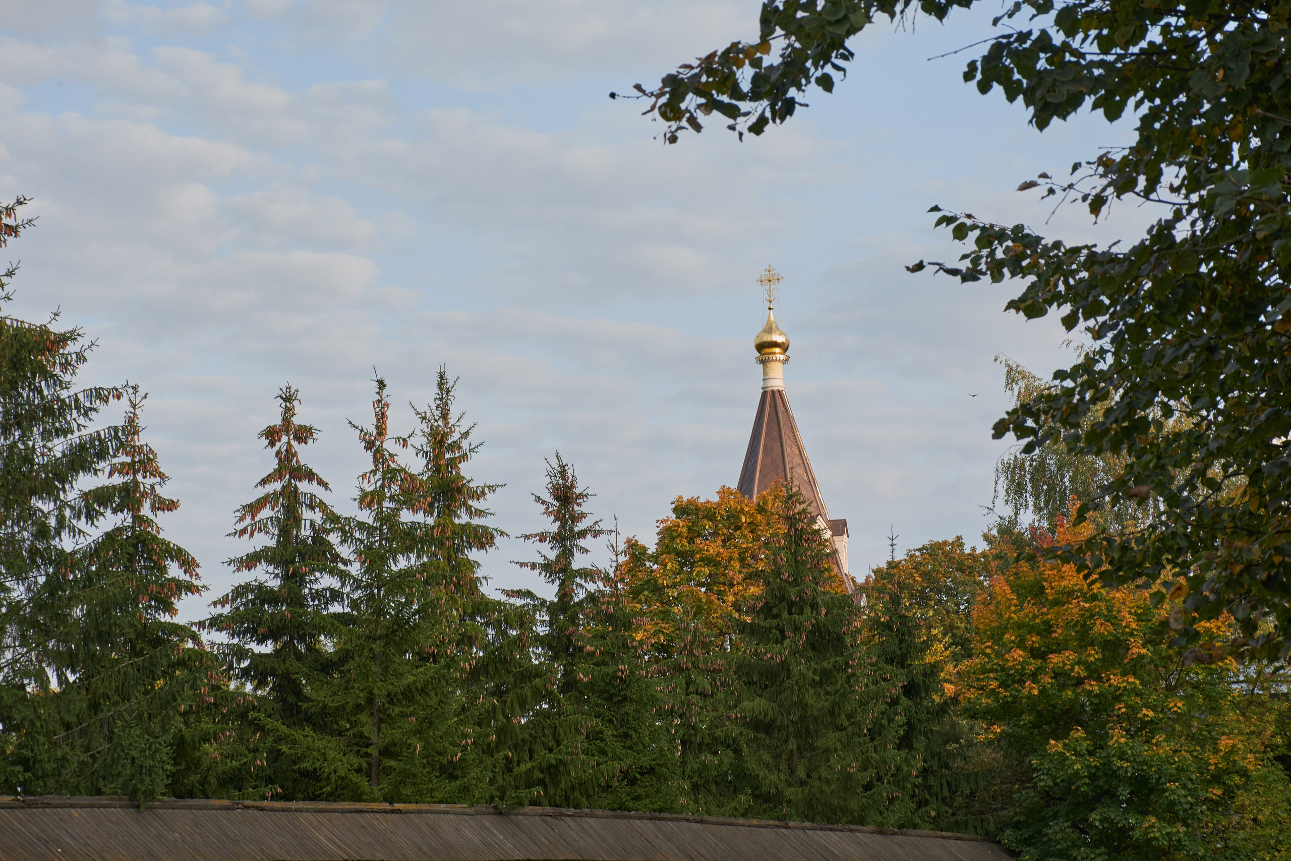 20200927 Коломенское. Дмитрий Ремизов. Фотография, как хобби