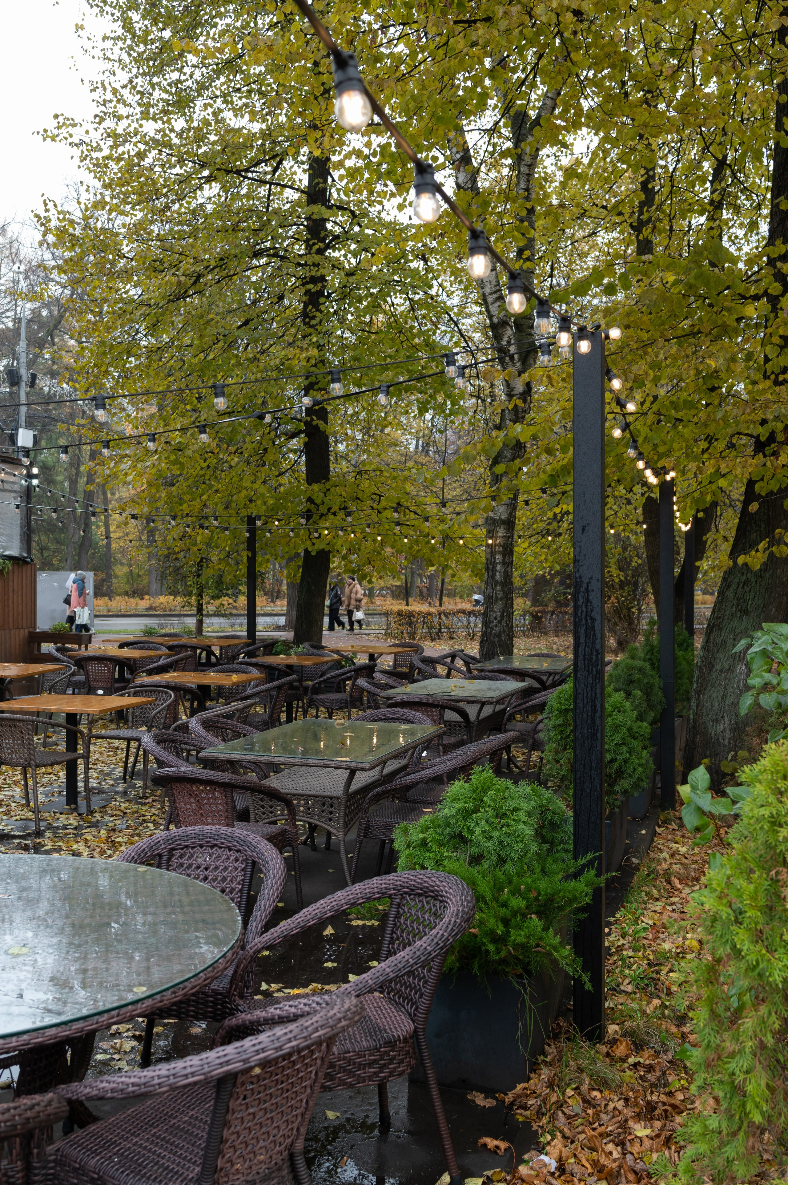 20241026 Сокольники. Дмитрий Ремизов. Фотография, как хобби