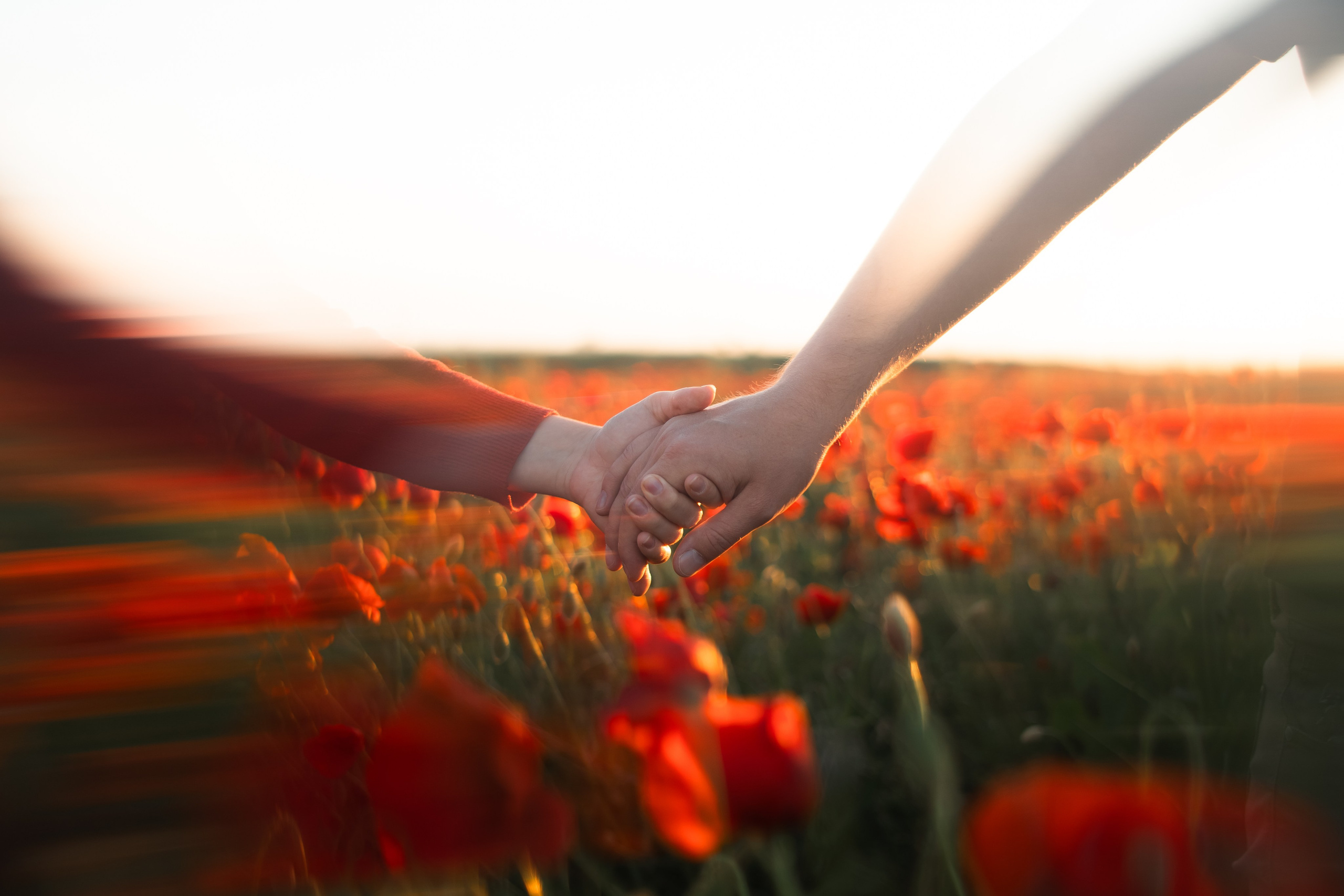 Маковое поле. Фотограф анималист