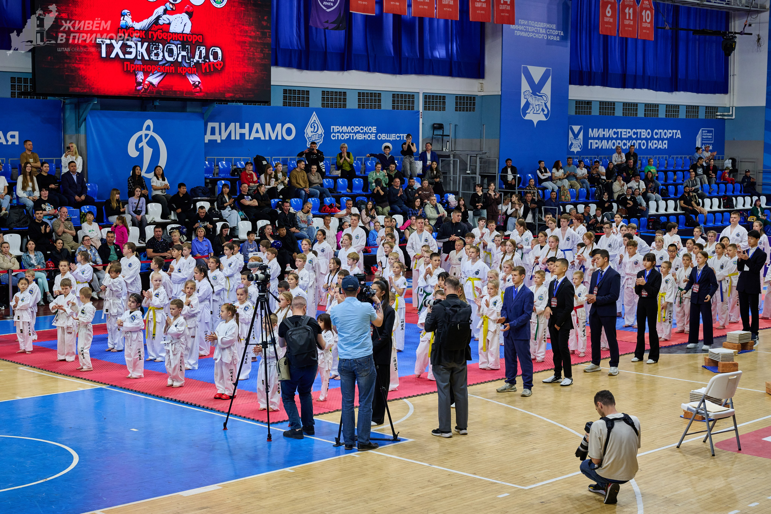 Кубок губернатора по тхэквондо. Профессиональный репортажный фотограф Инесса Иминова