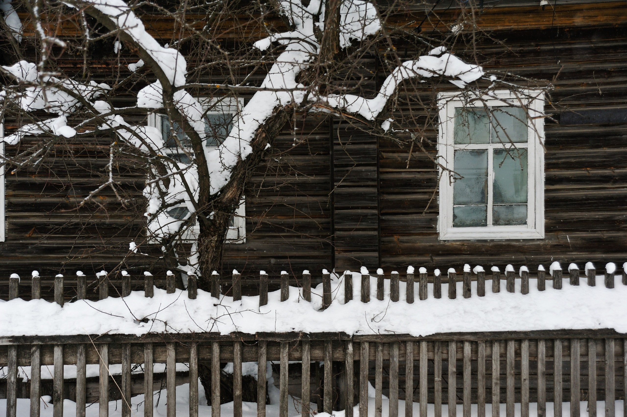 Сказки Севера. Катерина Михеева