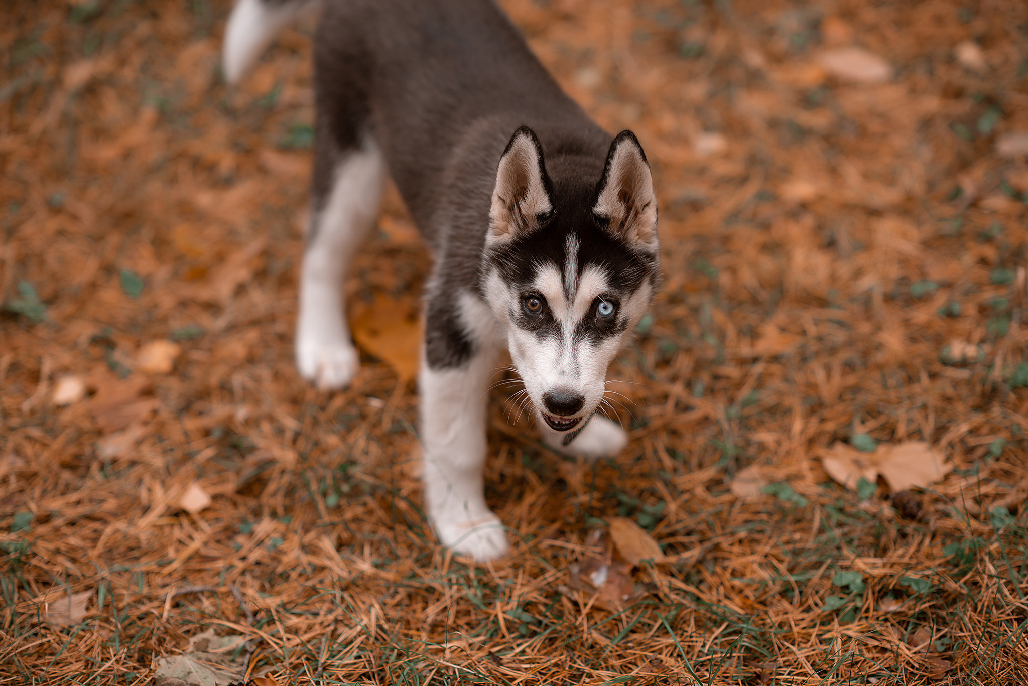 Егор и Анастасия. Фотограф Александра Горюнова ❘ Рязань