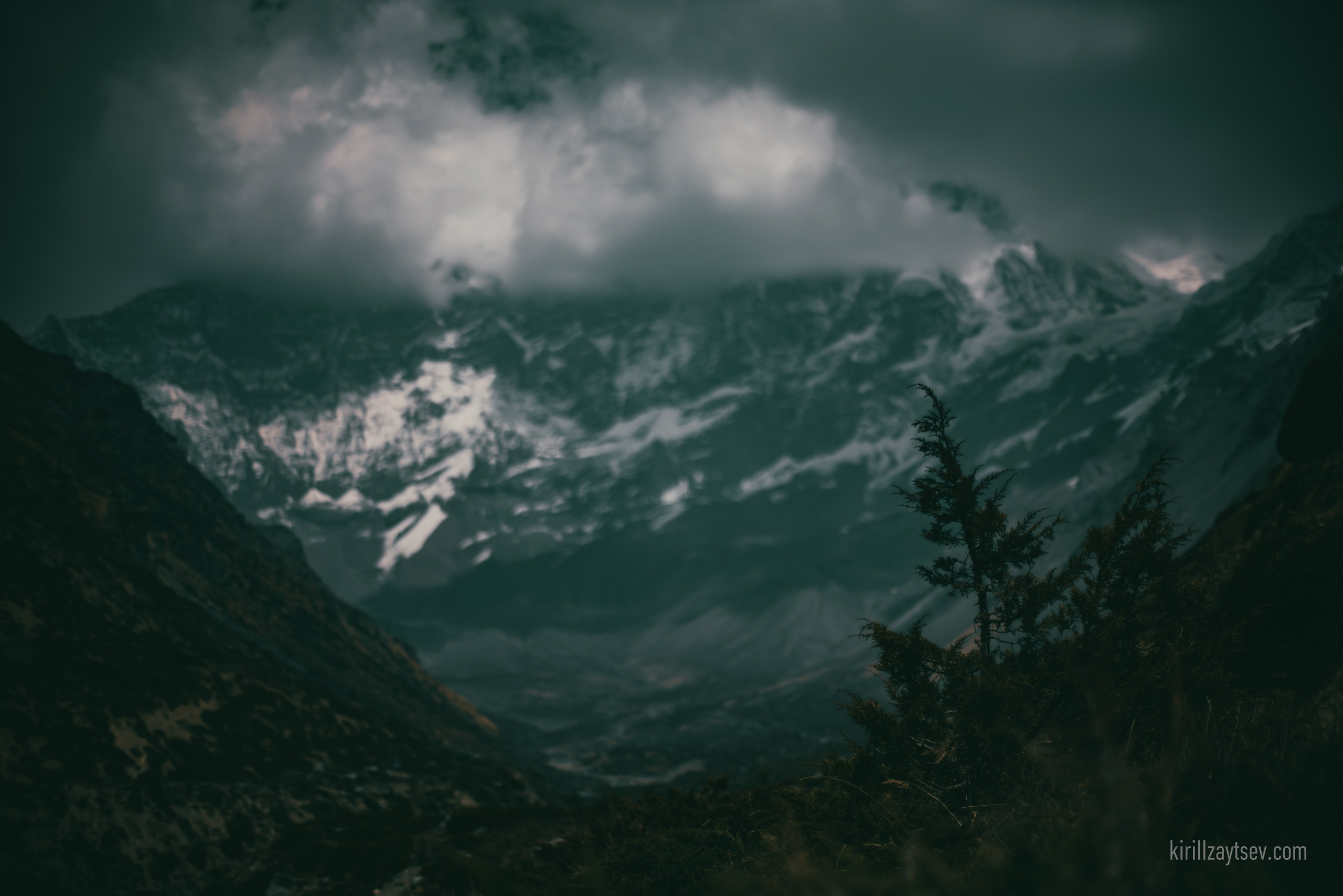 Жизнь. Профессиональный фотограф Кирилл Зайцев