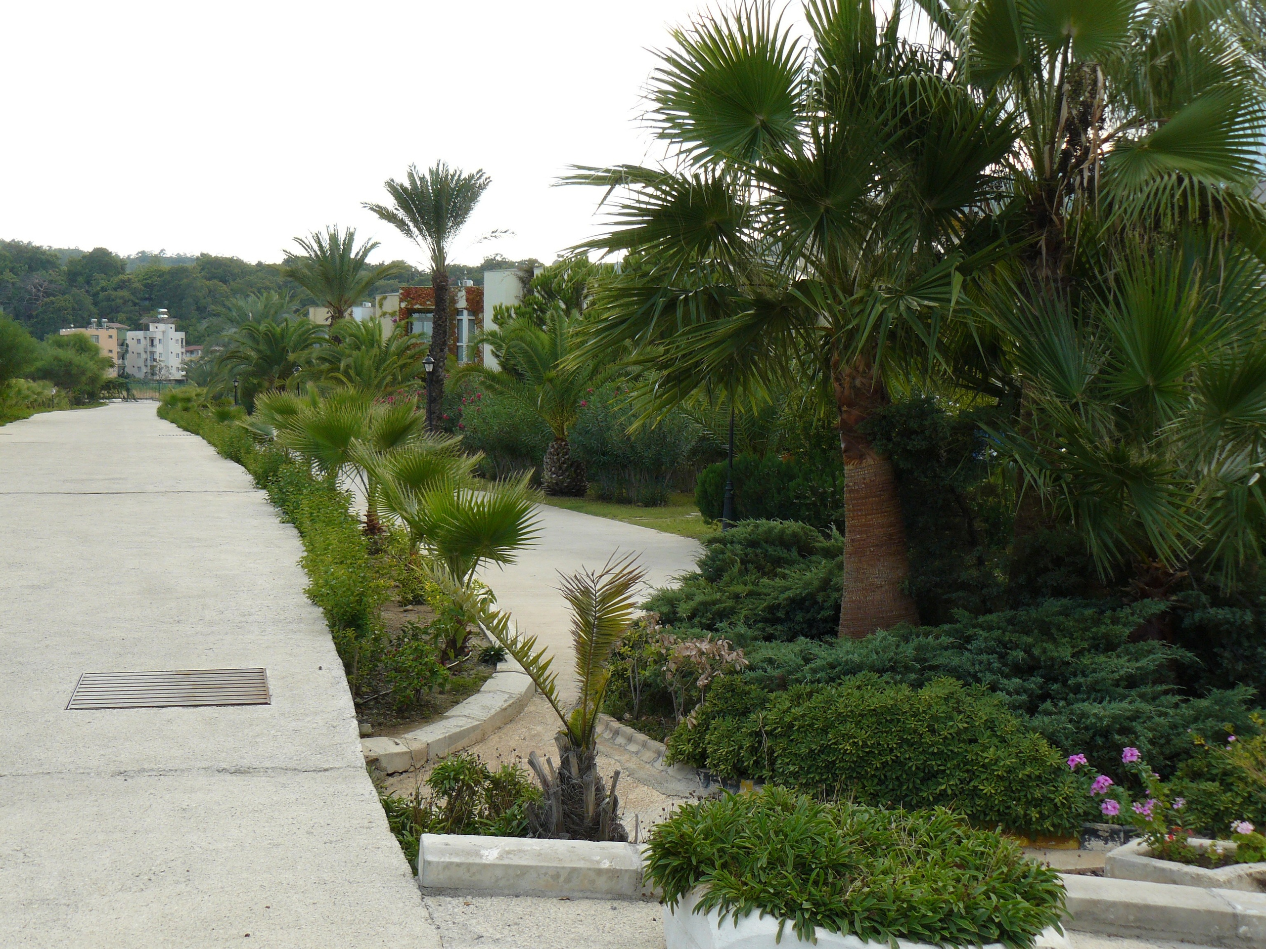 Кемер, Чамьюва 2008. Избранные фотографии