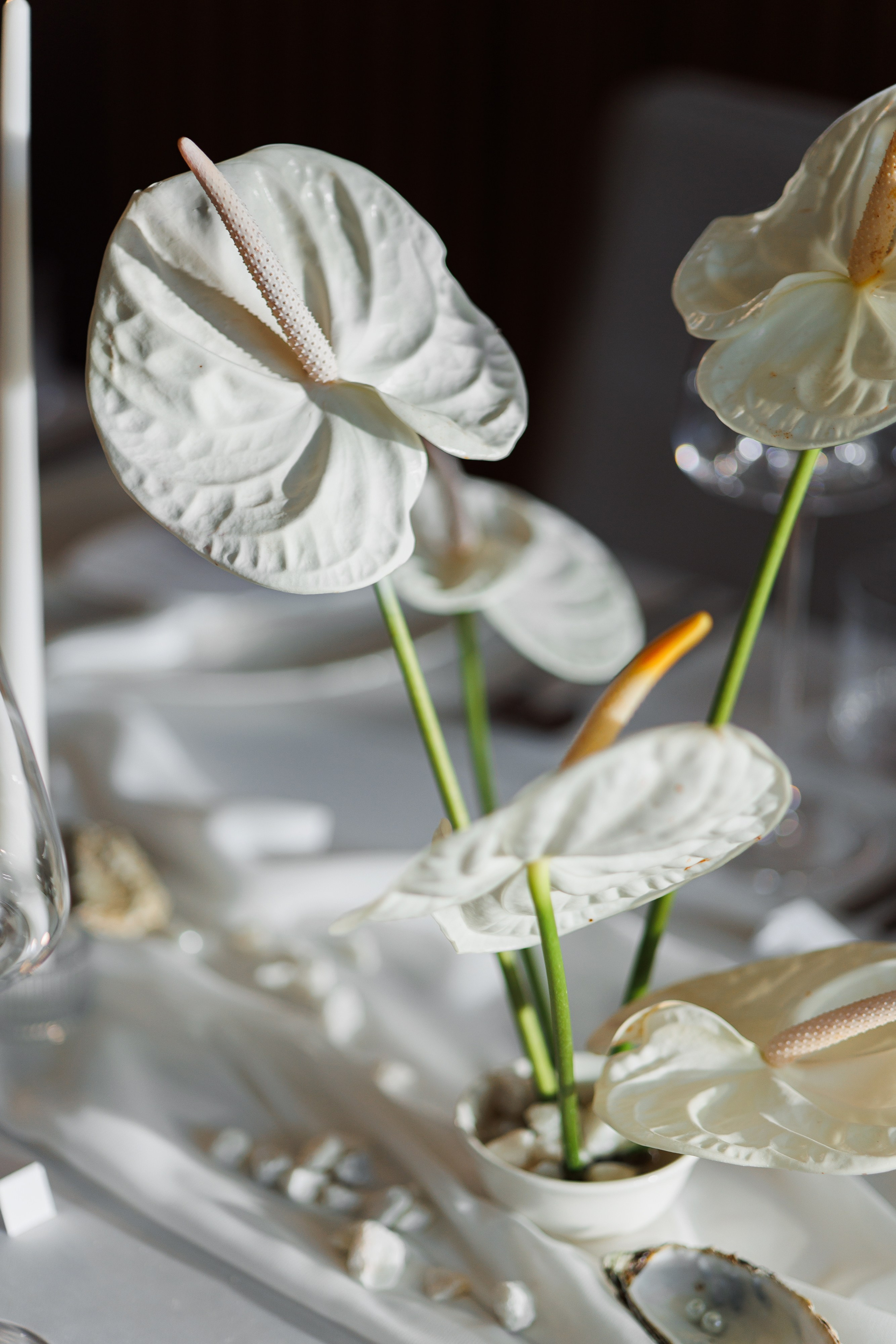 Евгения и Левон | Свадебная годовщина. Свадебный фотограф Минск РБ