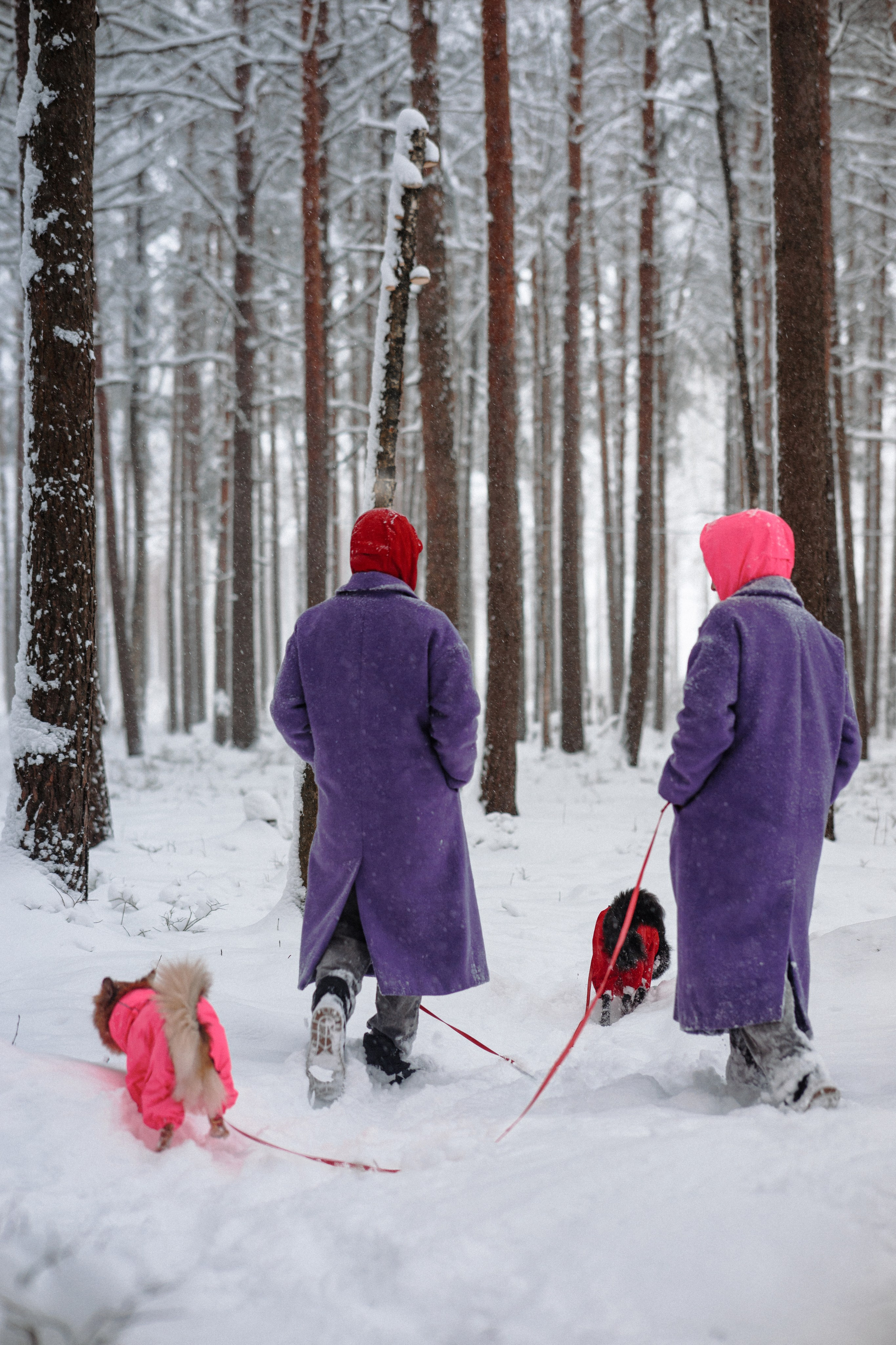 Сестры. Фотограф в Санкт-Петербурге Алёна Губинская