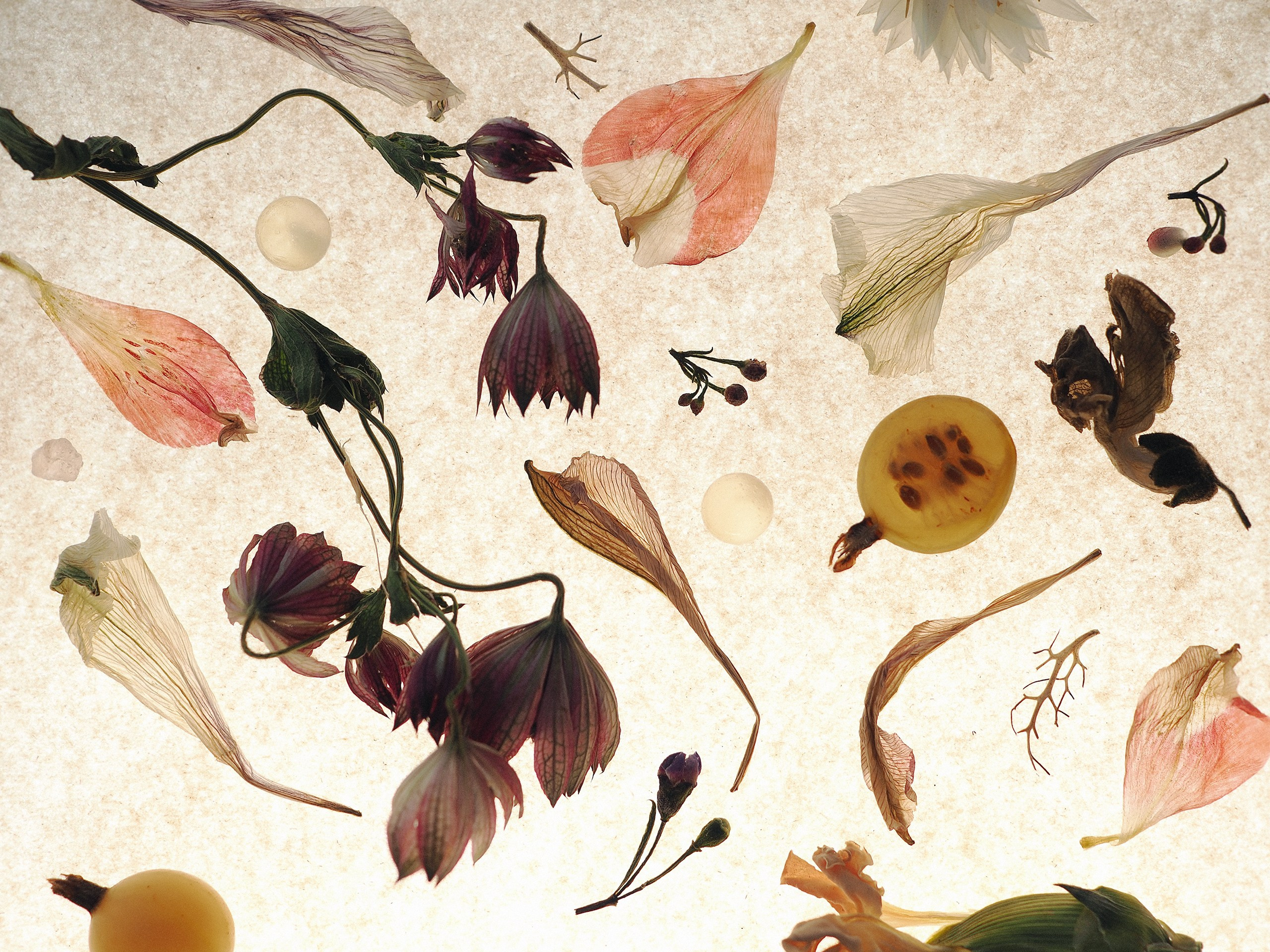 Предметный и фуд фотограф Санкт-Петербург