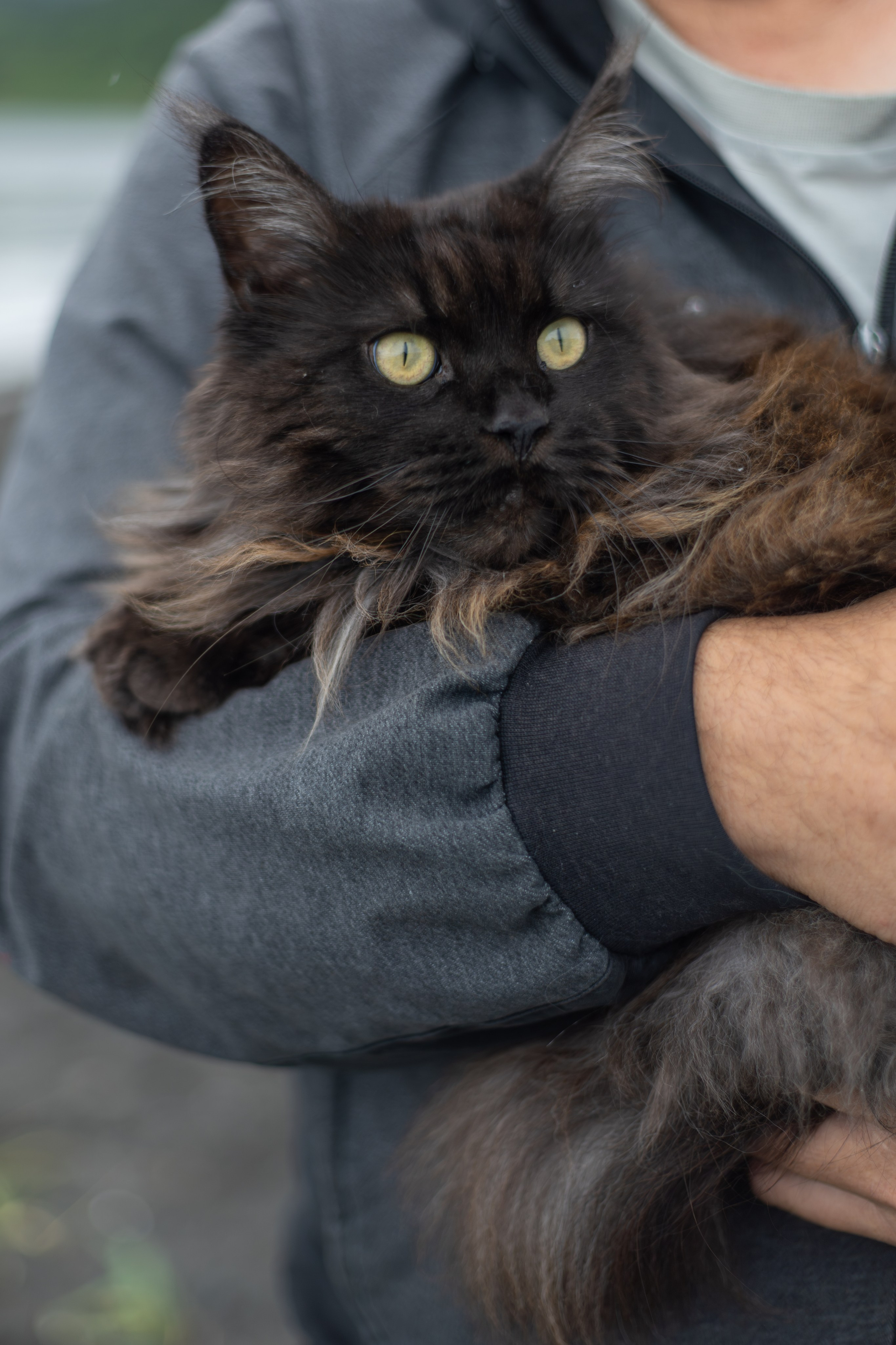Мыс Евстафия. Фотограф в Южно-Сахалинске Гусаков Евгений