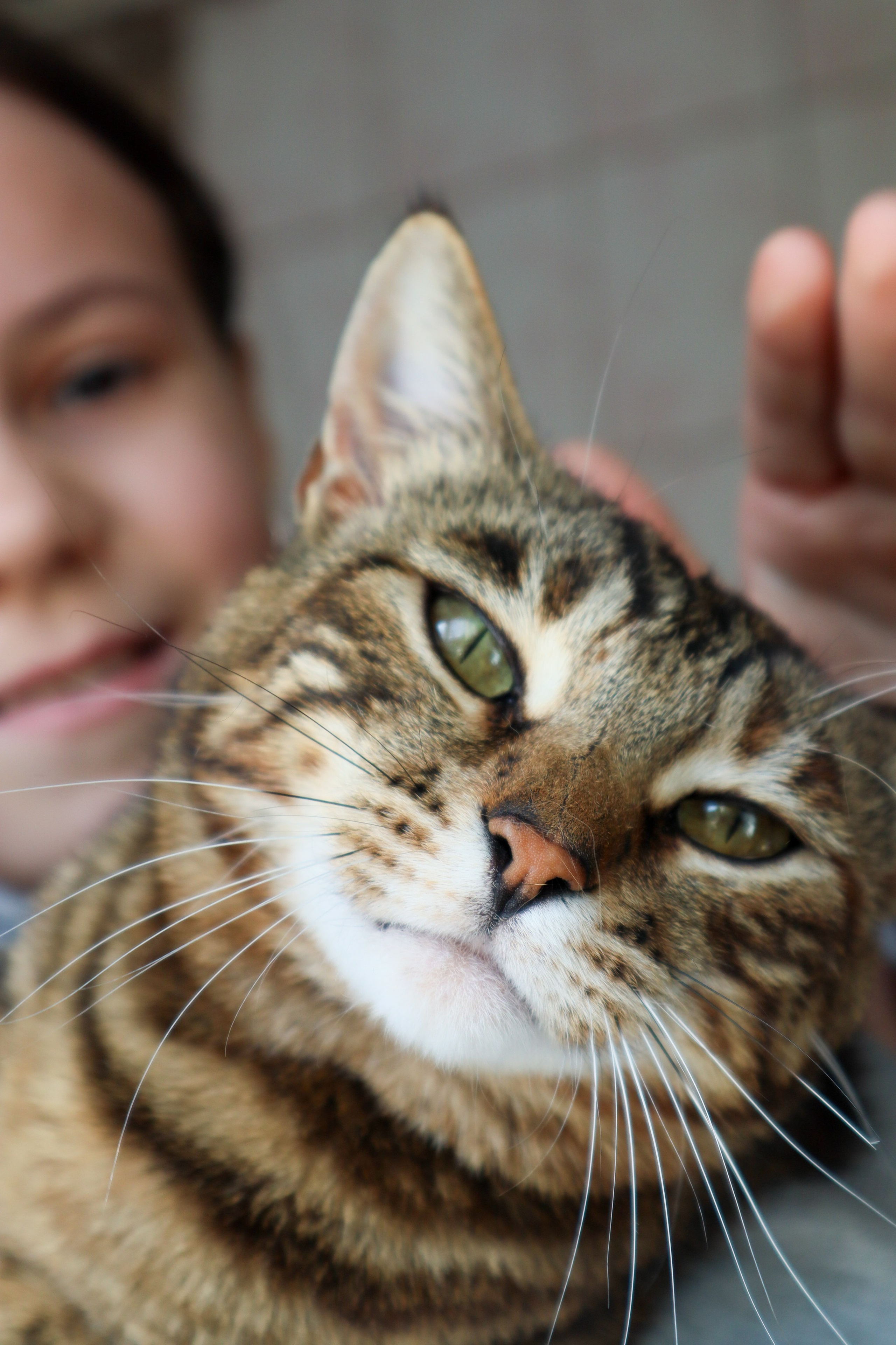 Животный мир. Фотограф в Южно-Сахалинске Гусаков Евгений