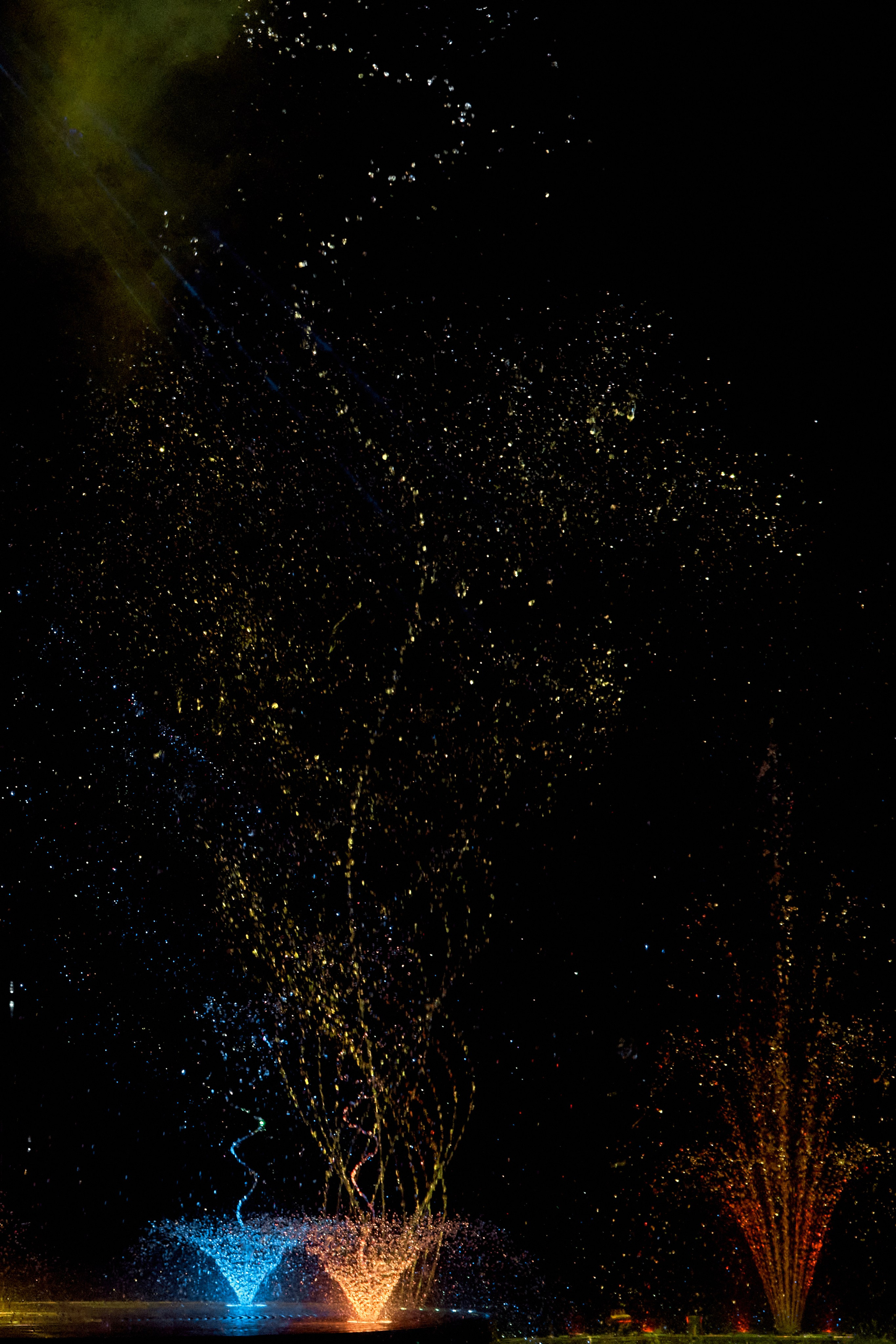 Цирк «На воде». Фотограф