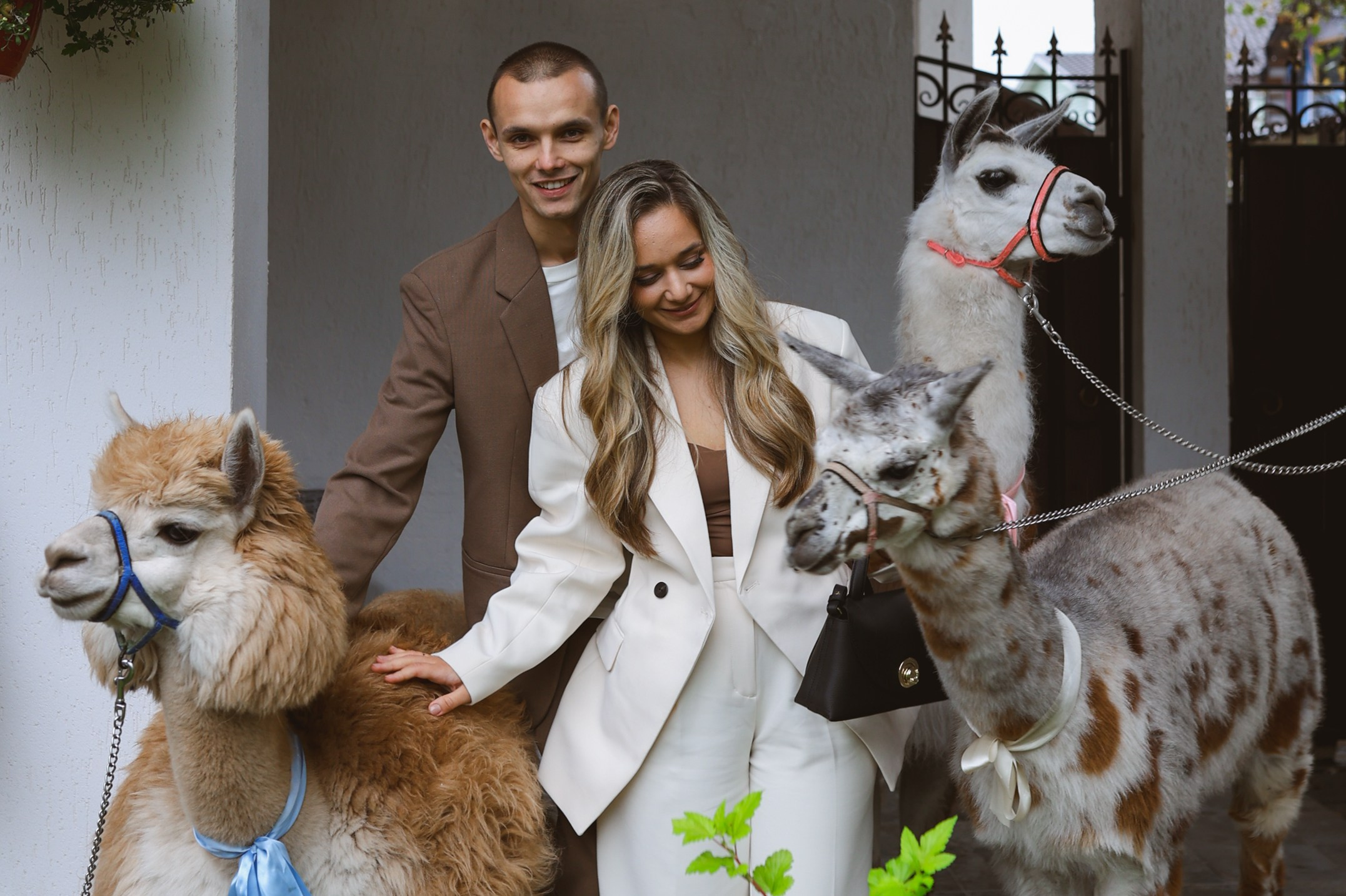 Зеленоградский ЗАГС. Свадебный фотограф Курзина Ольга | Москва