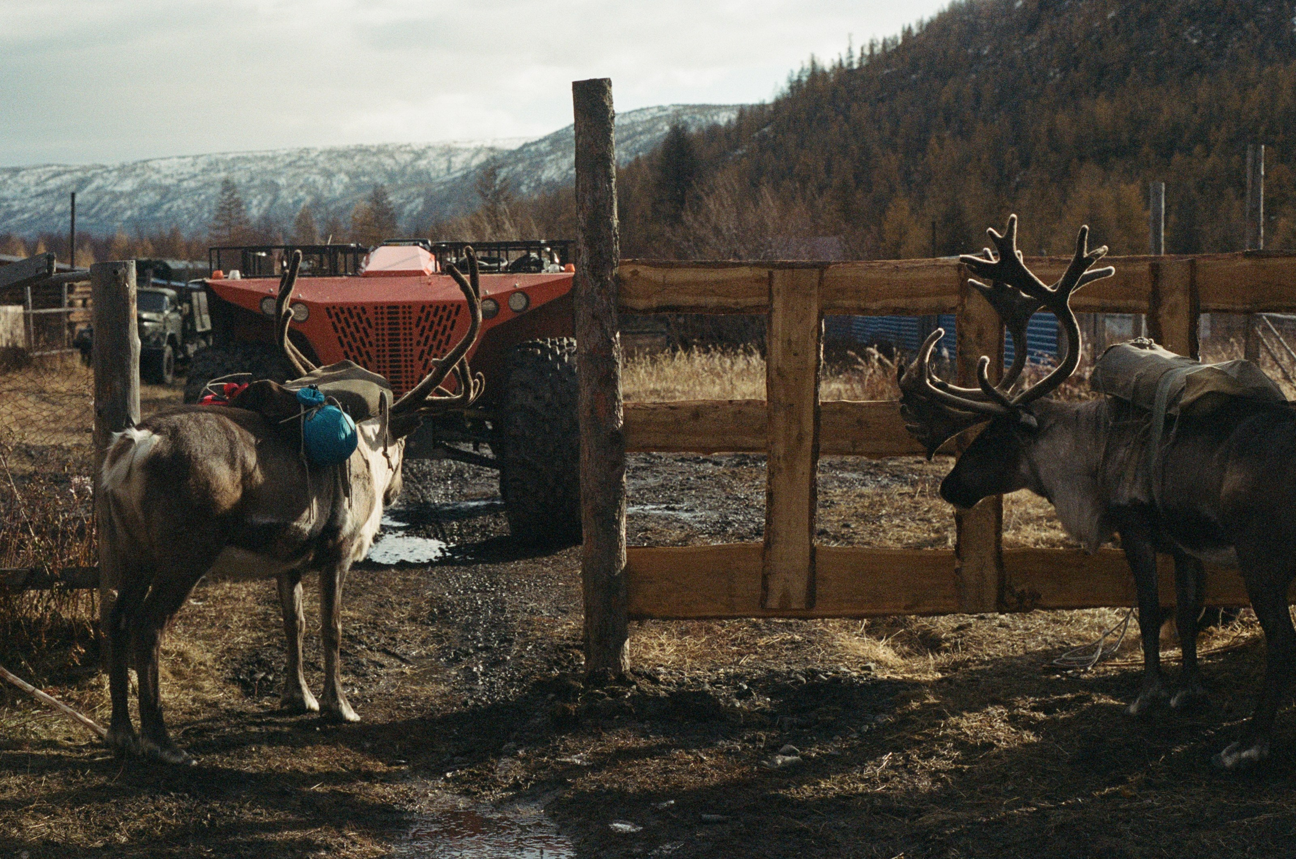 Не забудь накормить озеро. Natalya Madilyan