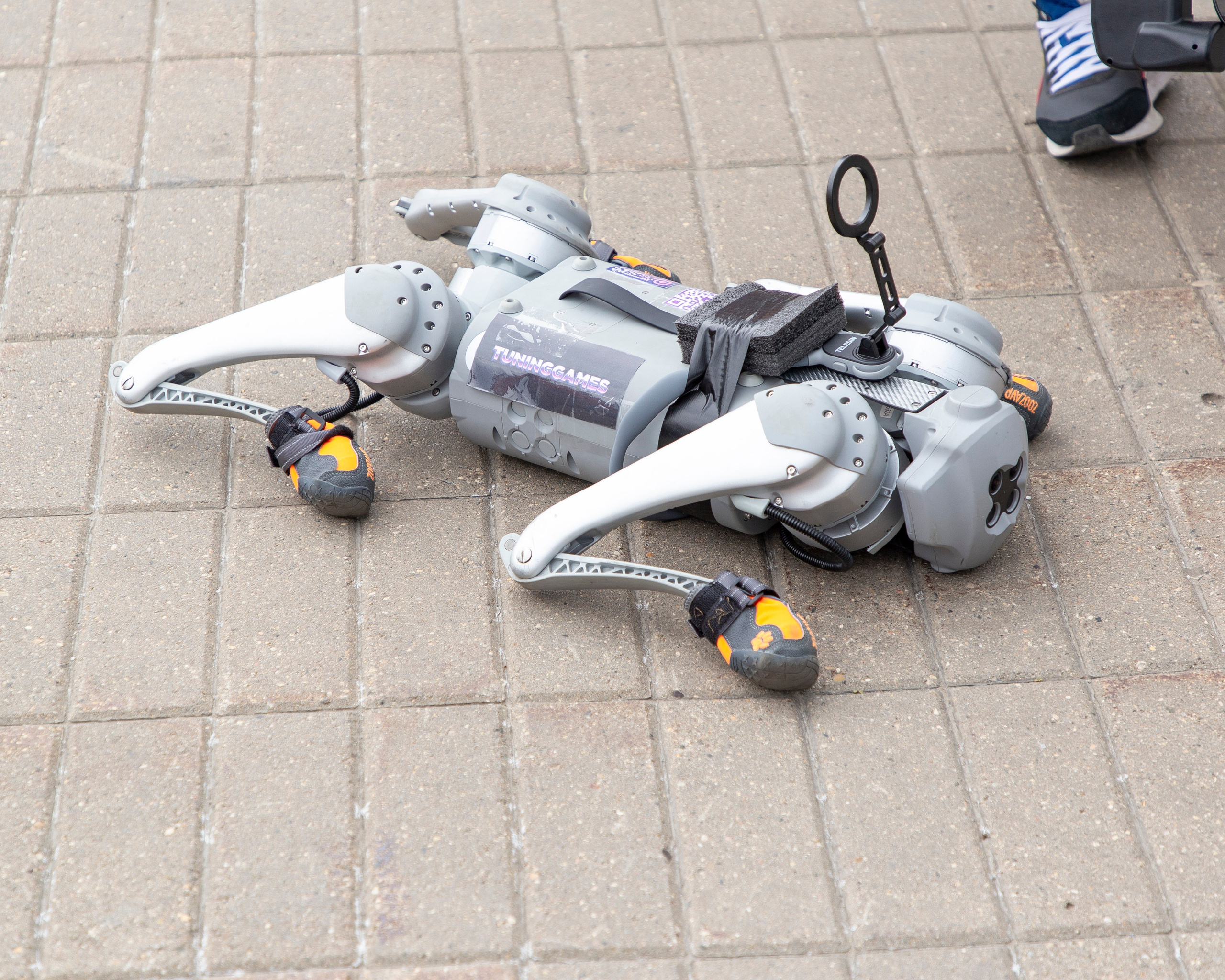 Tuning Show 2025. Репортажный фотограф в Москве