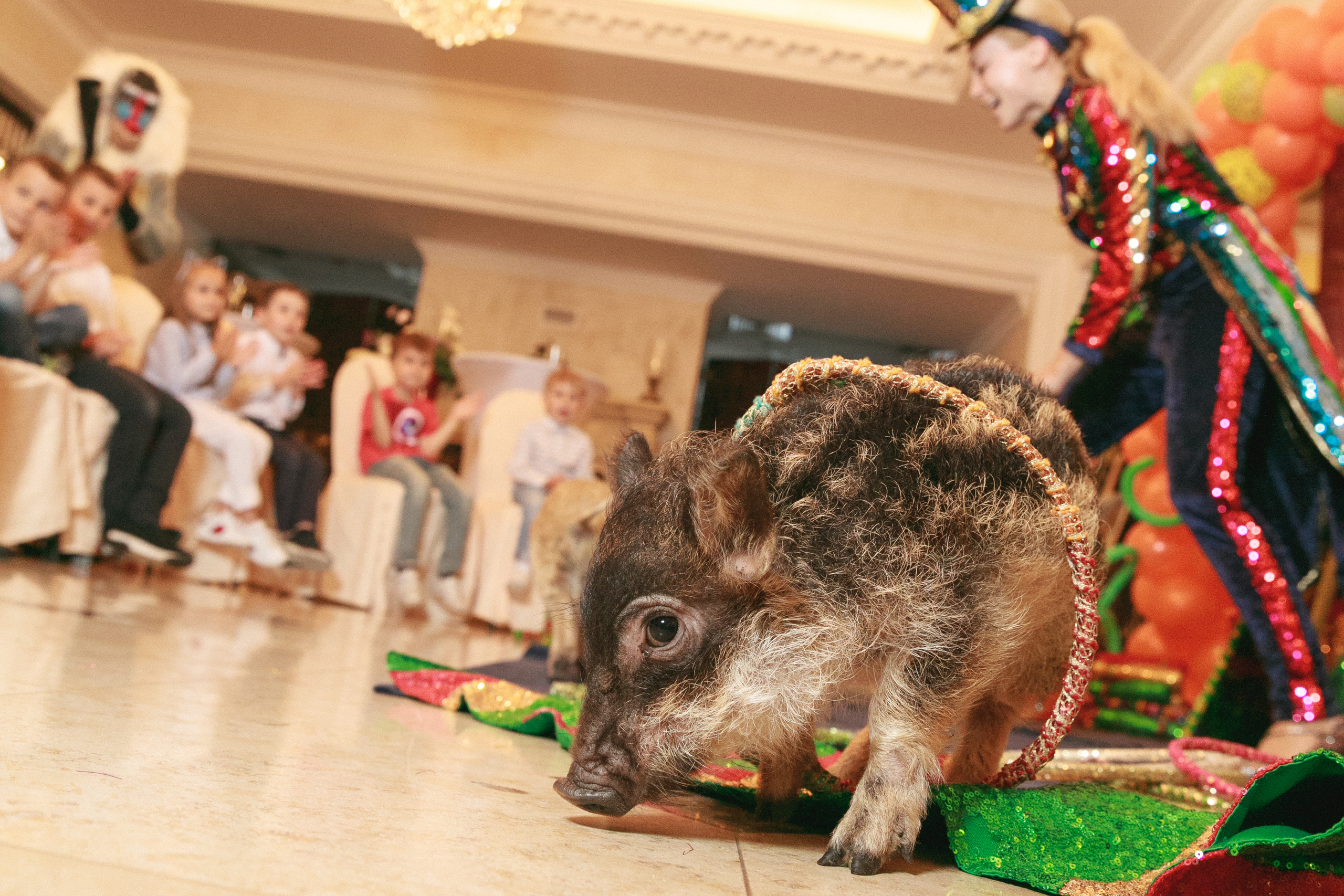 Вове 1 год. Дима Колес / фото и видео съёмка в Москве