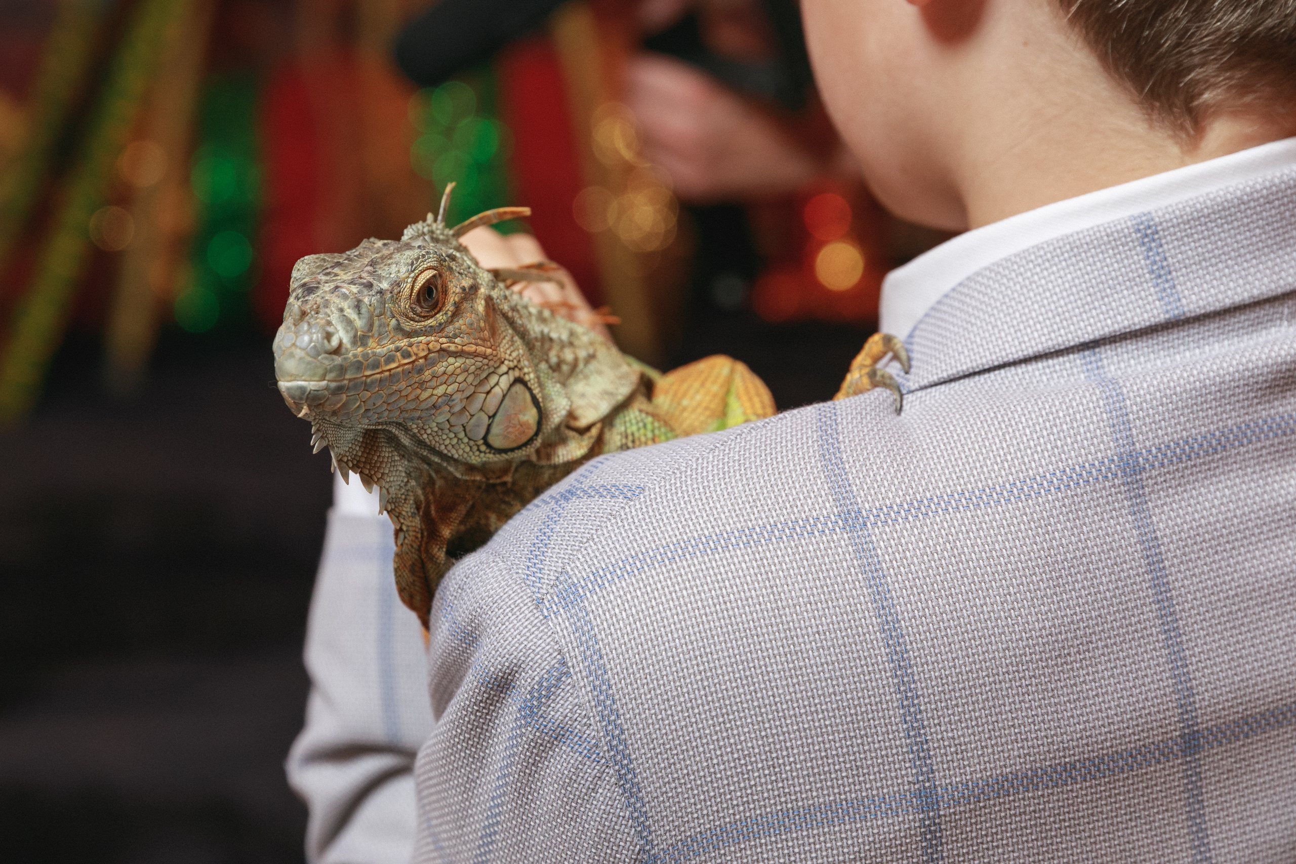 Вове 1 год. Дима Колес / фото и видео съёмка в Москве