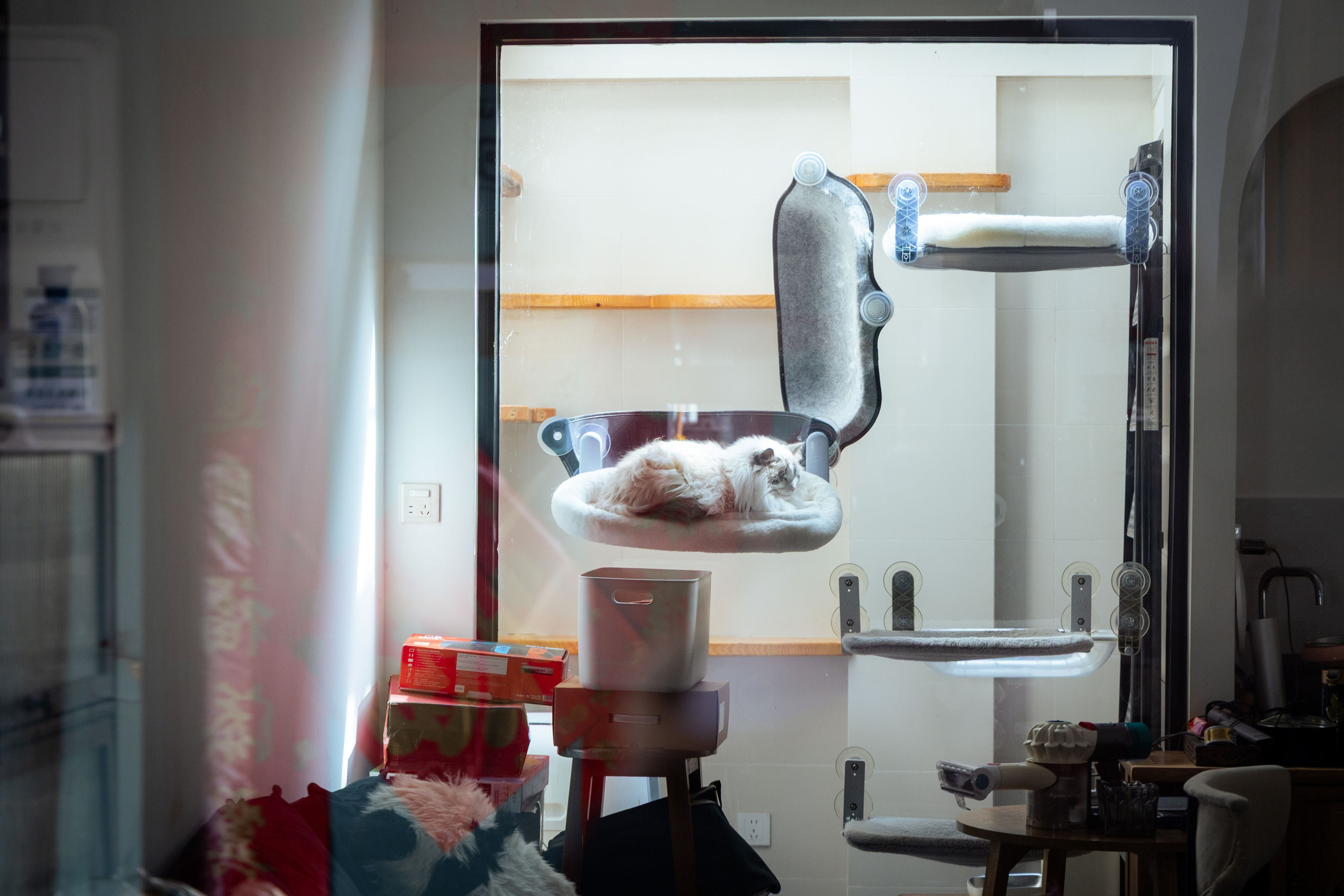 Шанхай (март 2026). Фотограф Виноградов Константин