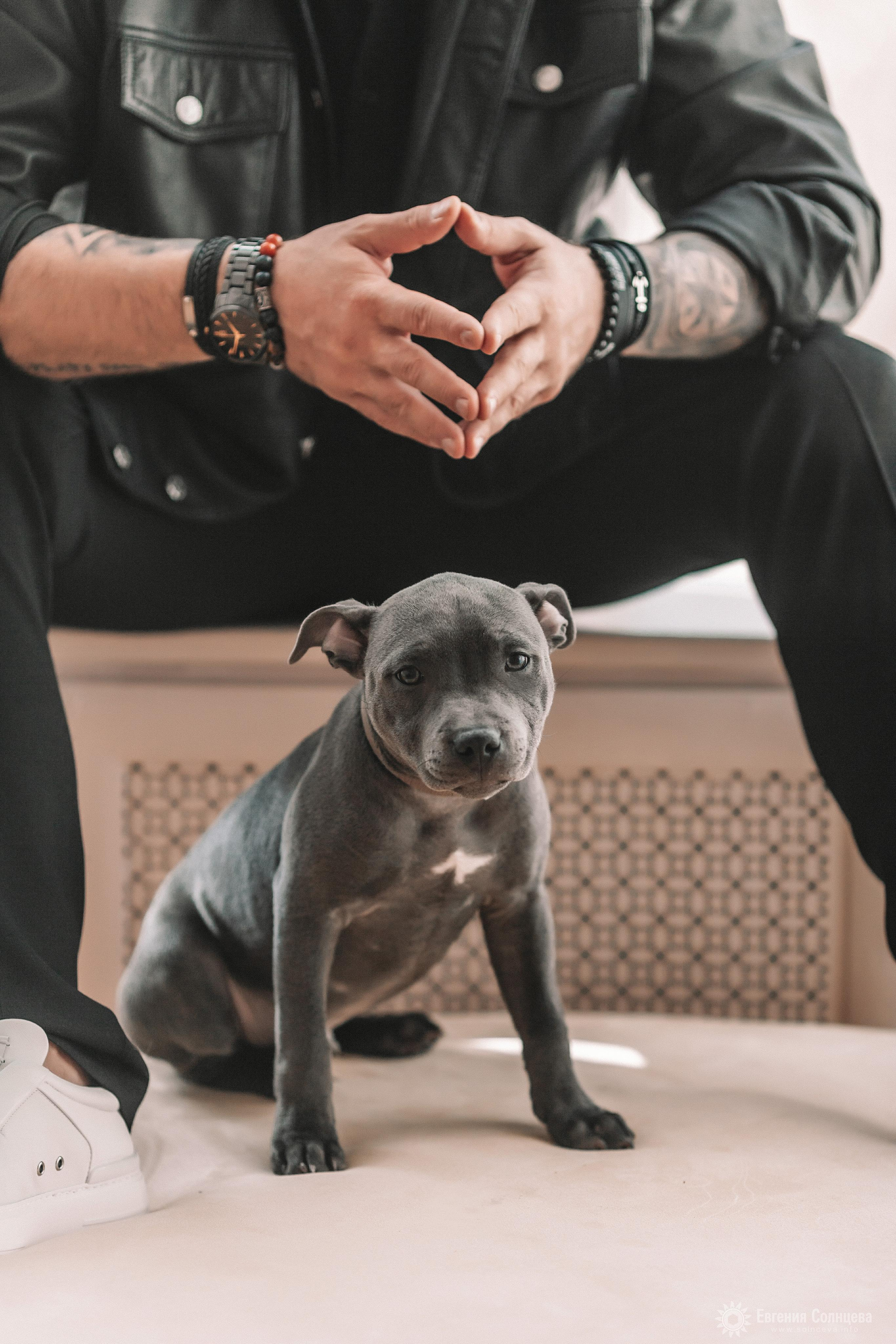 Свадебный фотограф - портфолио. Свадебные серии. Фотограф в Санкт-Петербурге, — Евгения Солнцева