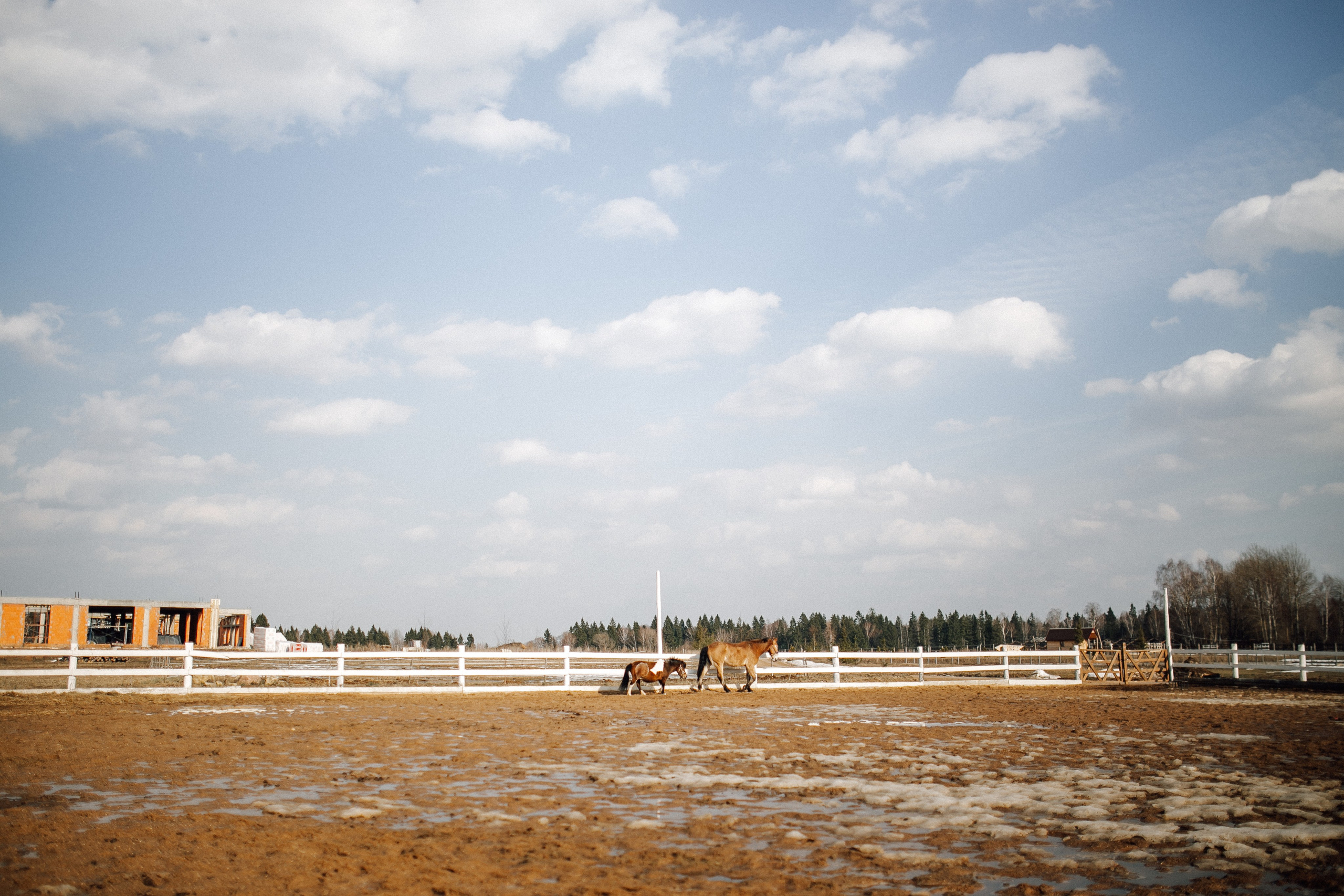 ANNA&MARK. Anastasiia Vainer – Hochzeits- und Porträtfotografin in Deutschland und ganz Europa