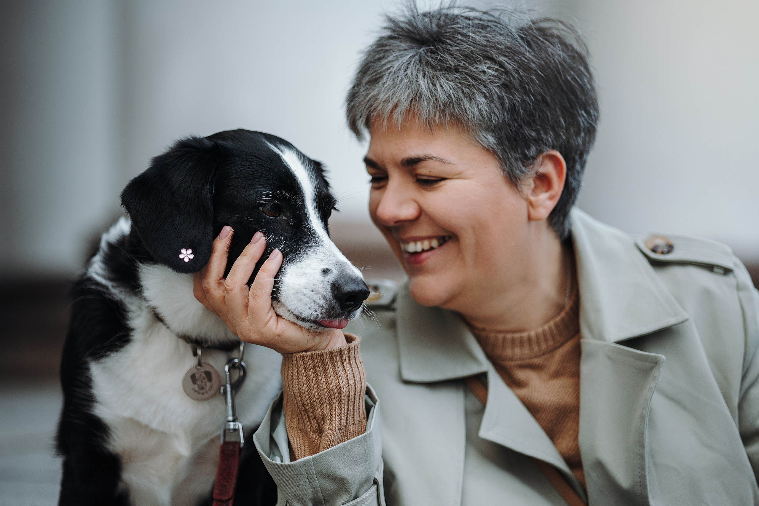 Мишель и ее семья. Фотограф — Анималист | Санкт-Петербург