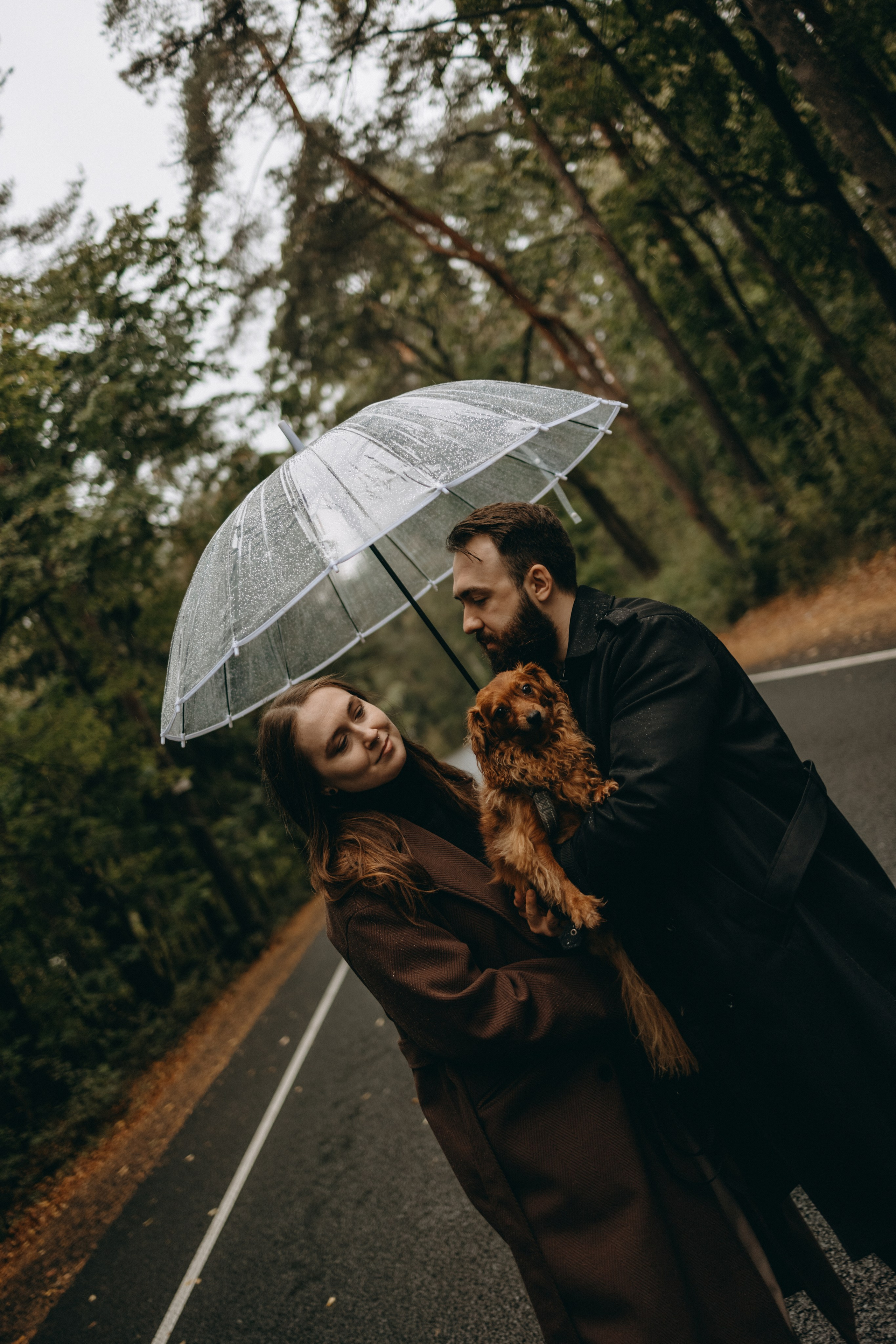 Жу и ее семья. Фотограф — Анималист | Санкт-Петербург