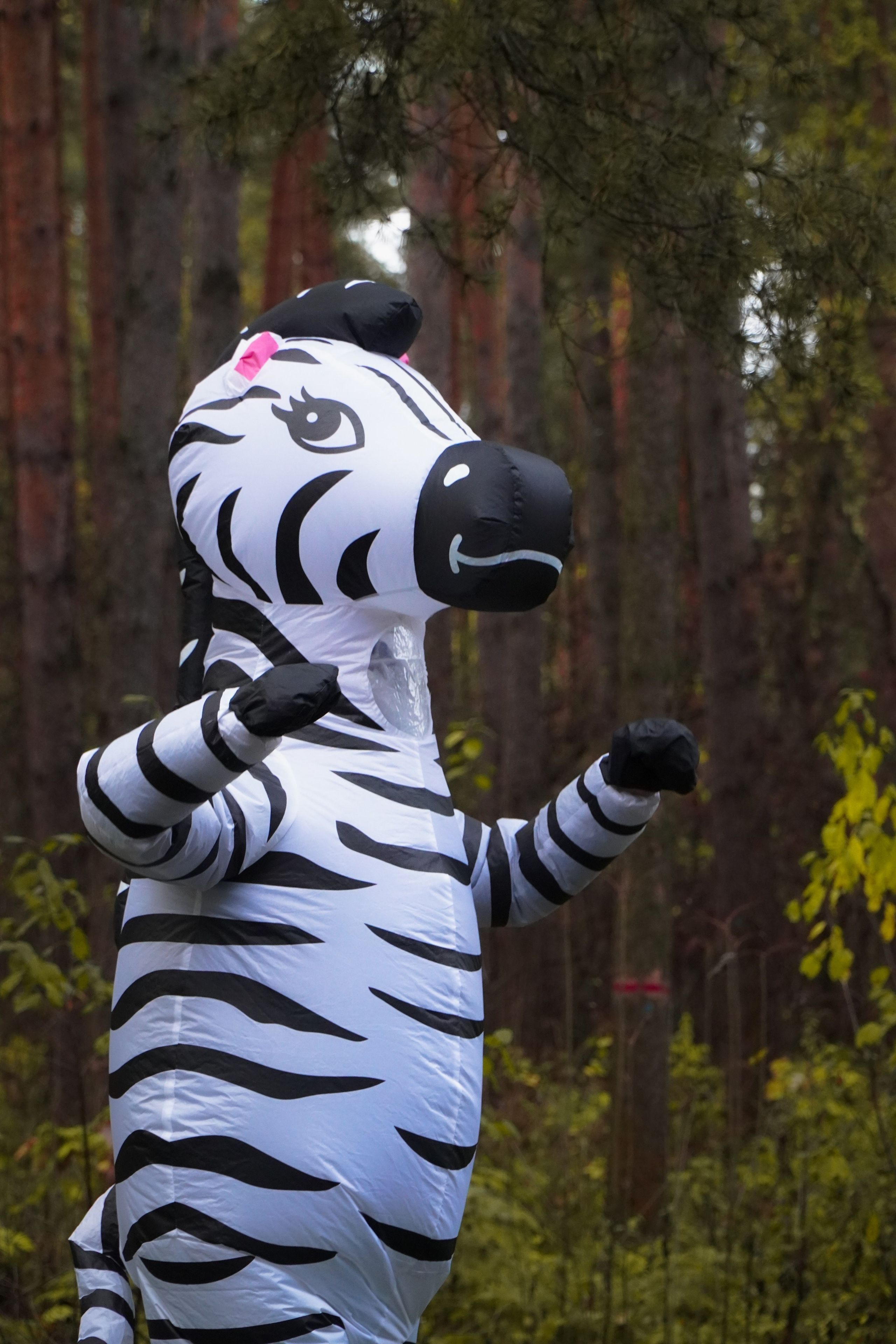 5 вёрст Томилинский 3 года 18 октября 2025. Роман Капилюшов. Бег. Фото. Видео. г. Люберцы