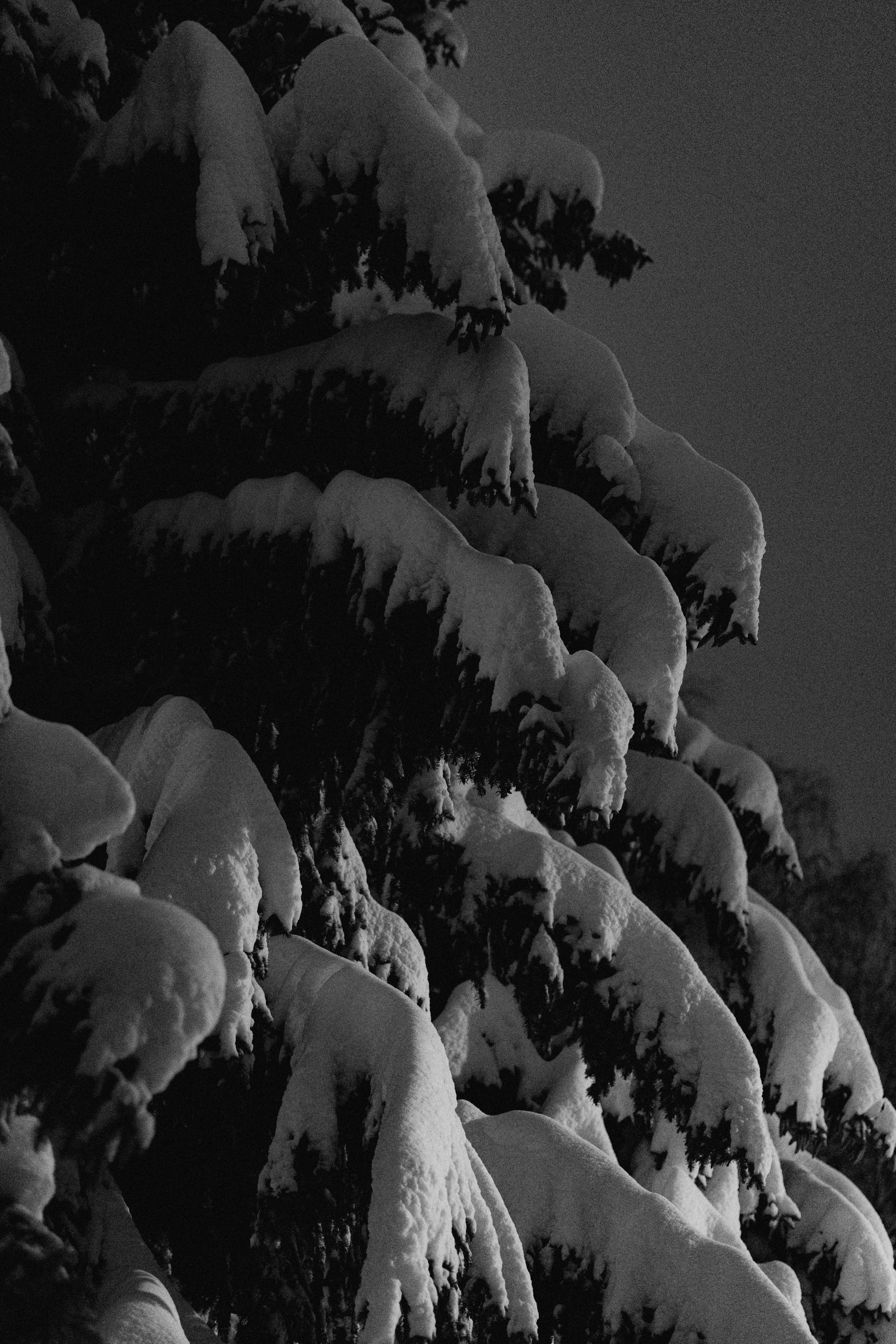 Город зимой. Фотограф Эльмира Лин