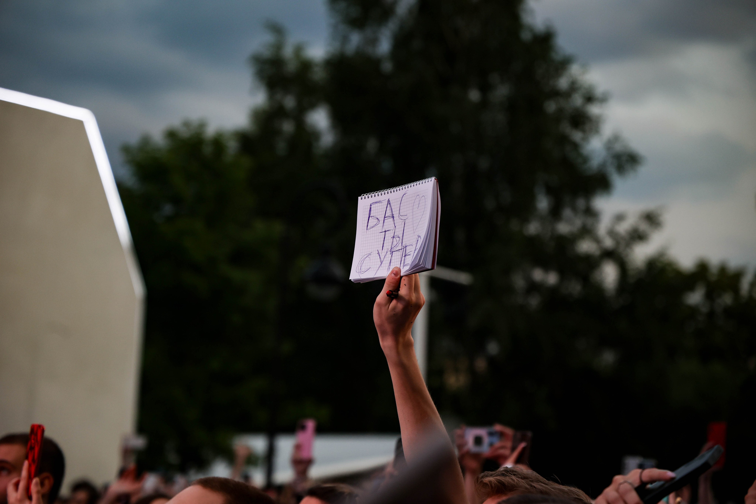 Концерт День молодежи. Елизавета Ковалевская — ваш профессиональный фотограф