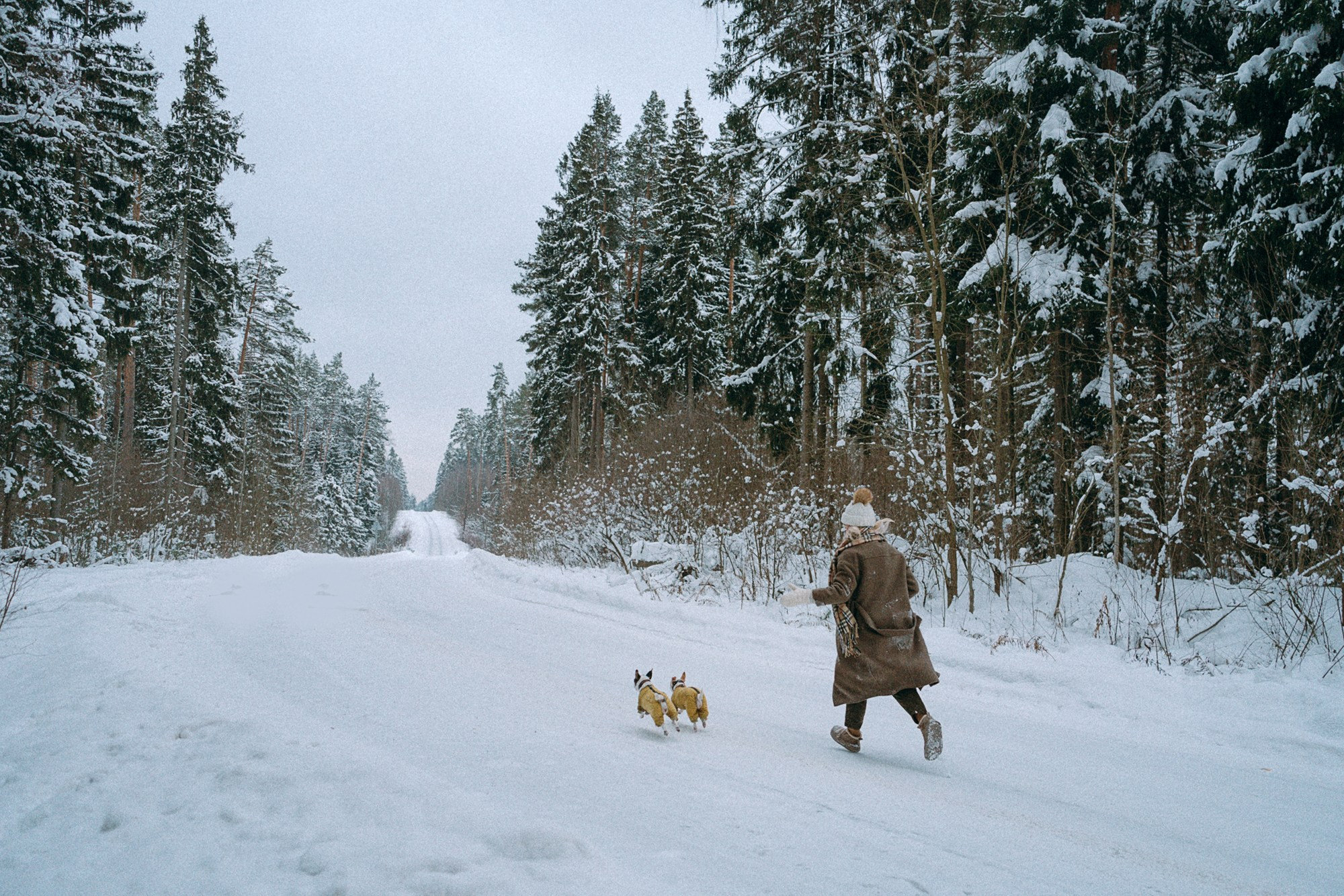 Алина, Ваниль и Элис. Фотограф анималист в Москве и Санкт-Петербурге Свиридова Анна