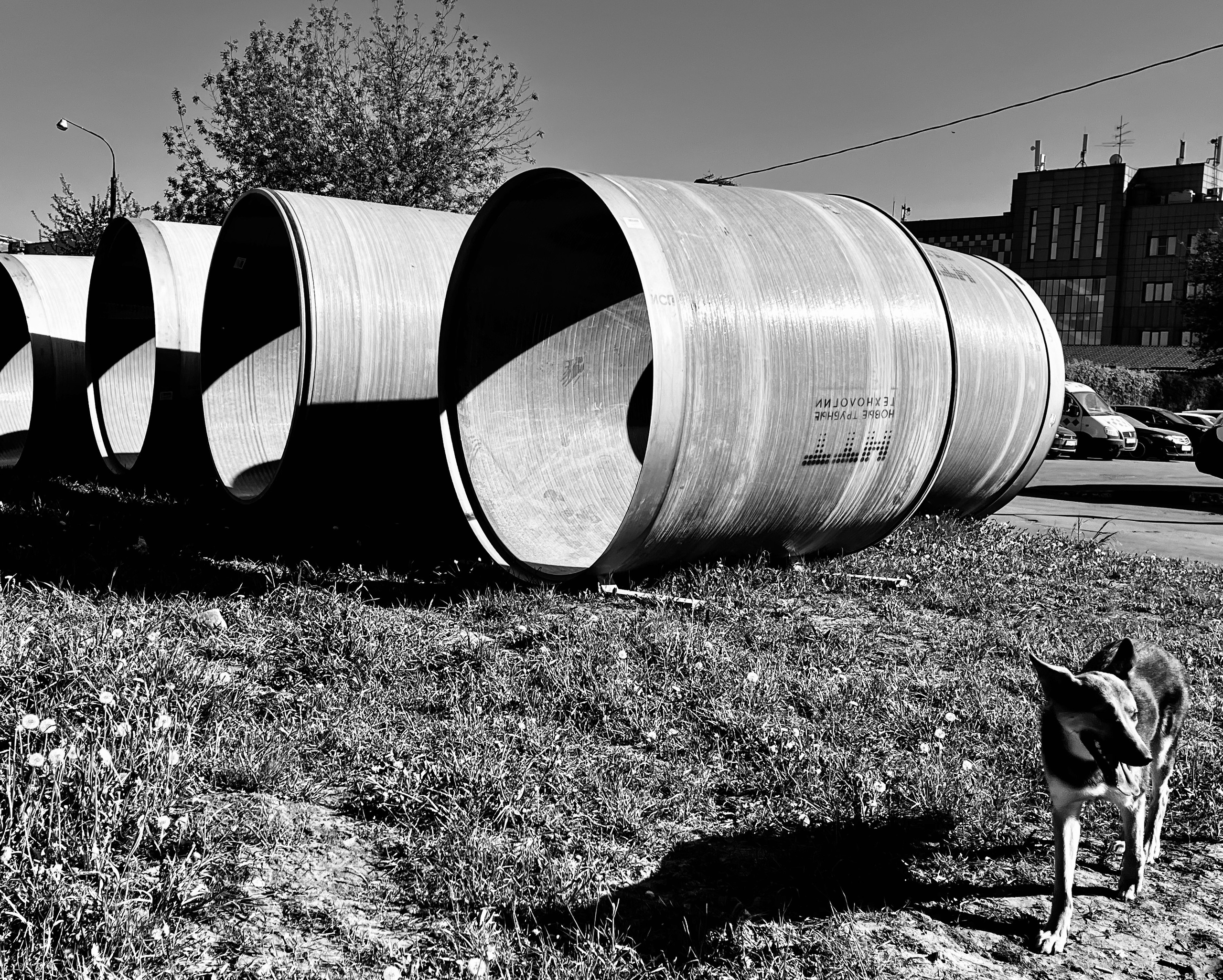 Геометрия, разное. Портретный фотограф в Москве Евгения Яковенко